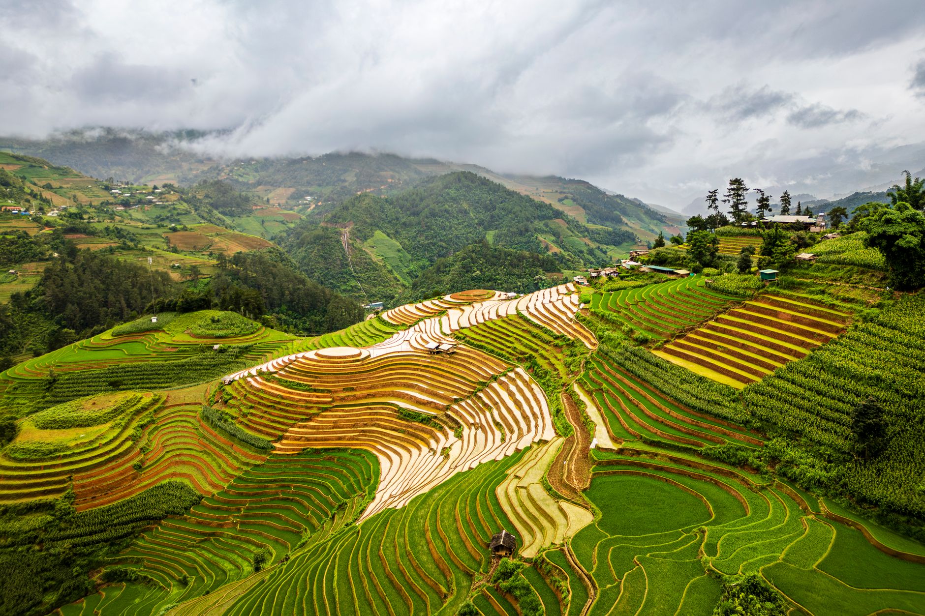 coffee farm elevation zones mountain slope terracing
