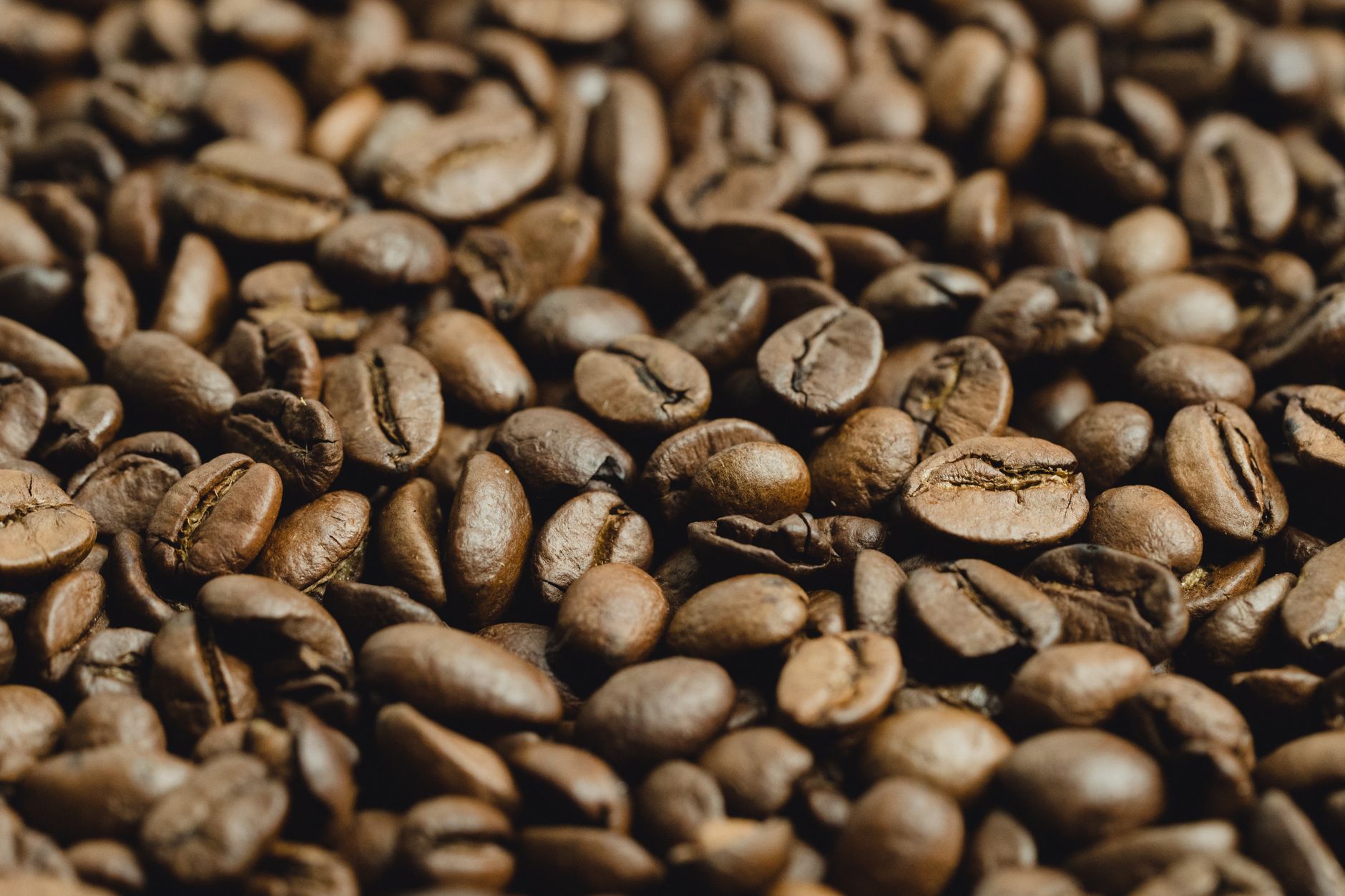 green coffee beans density comparison flat tray