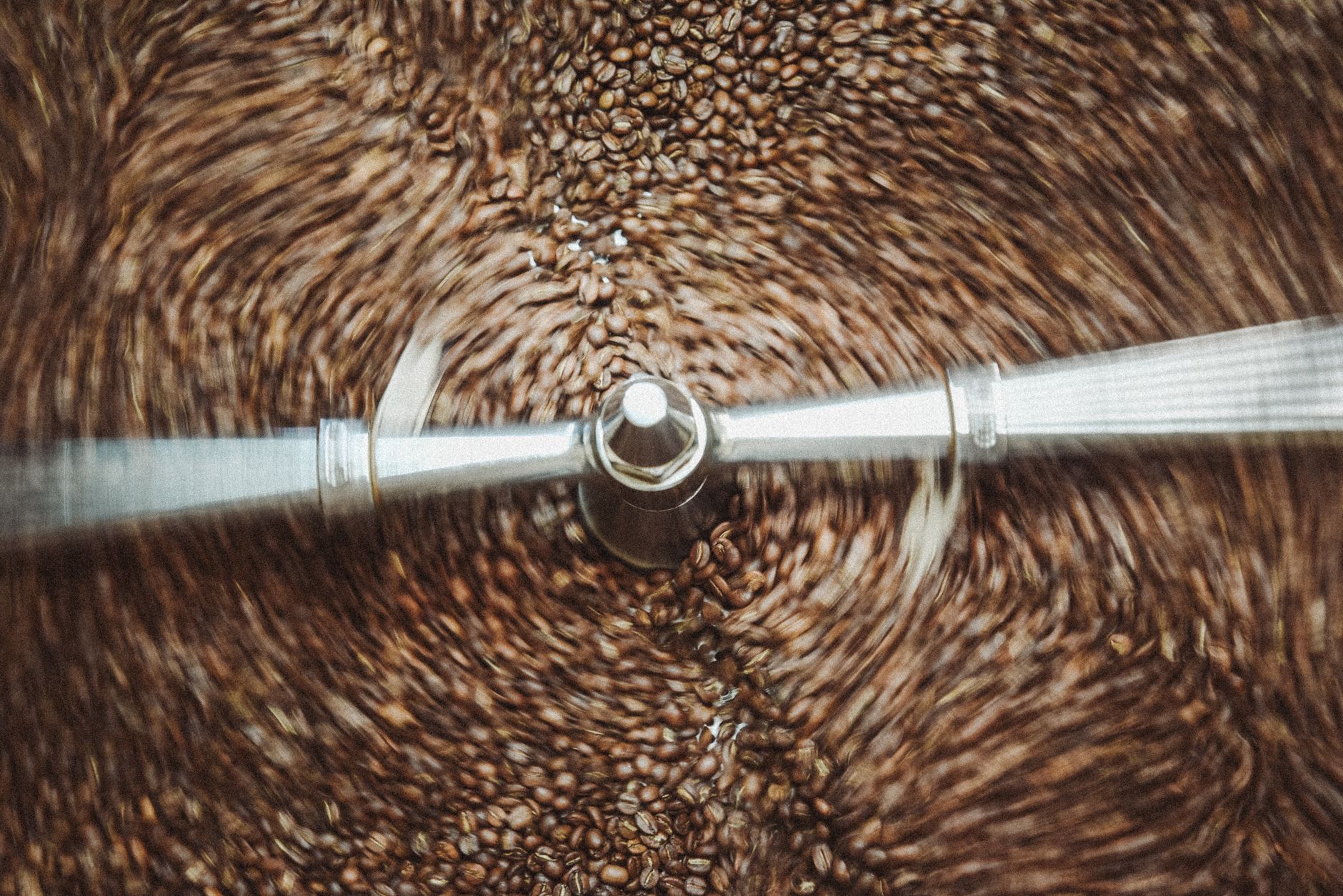 coffee grinder burr steel conical 40mm close up