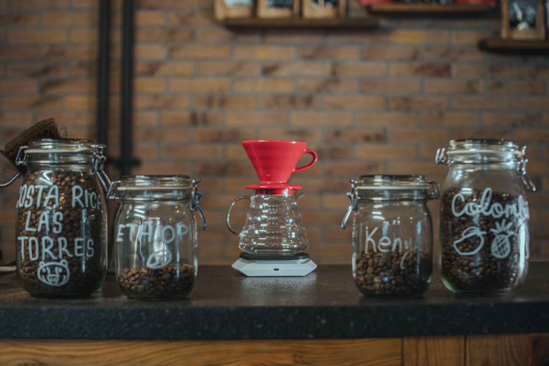 specialty coffee subscription box unboxing tasting flight