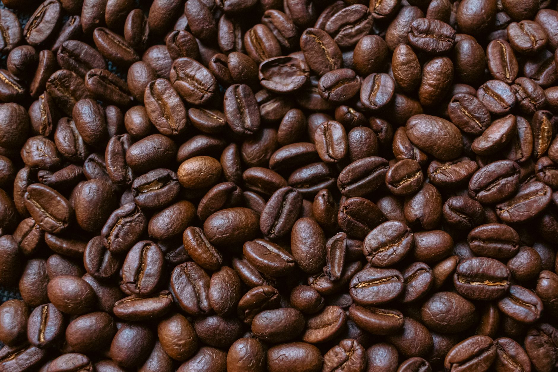bean box review