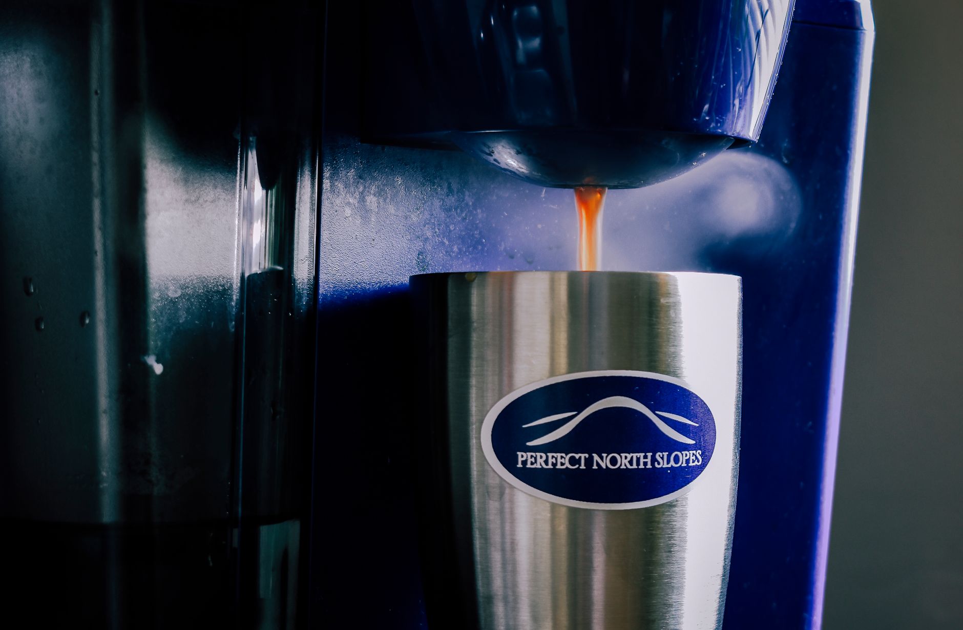 espresso machine lineup budget comparison stainless steel