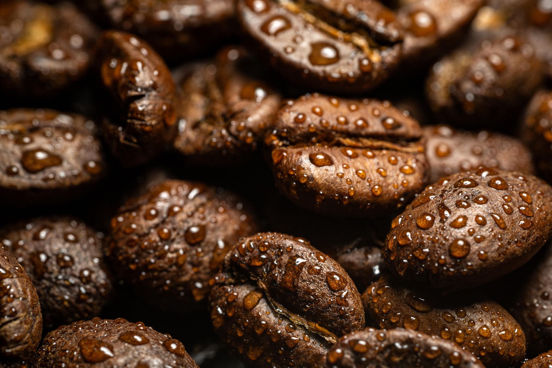cold brew concentrate jar dark roast coarse ground