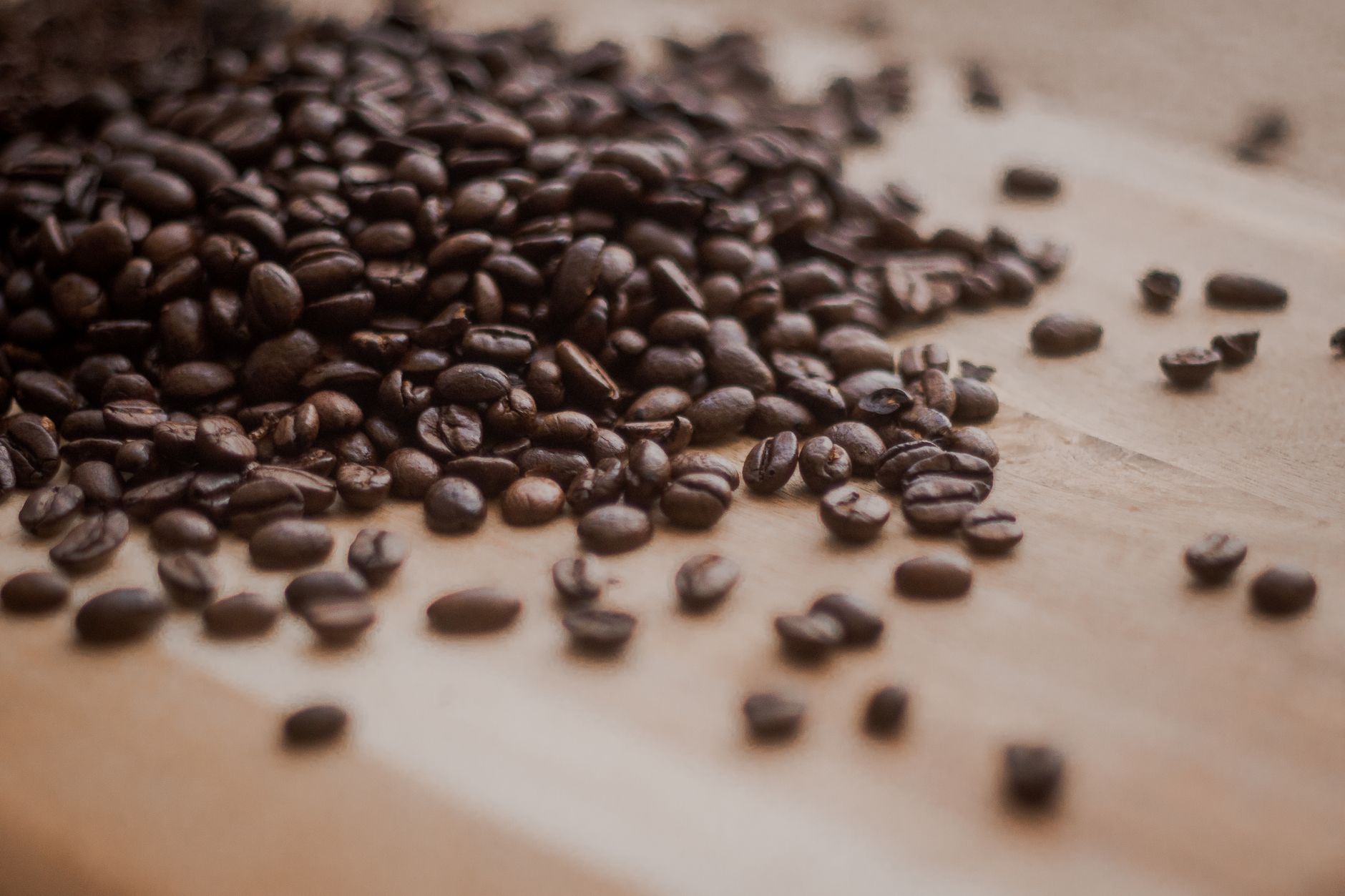 best coffee beans for cold brew