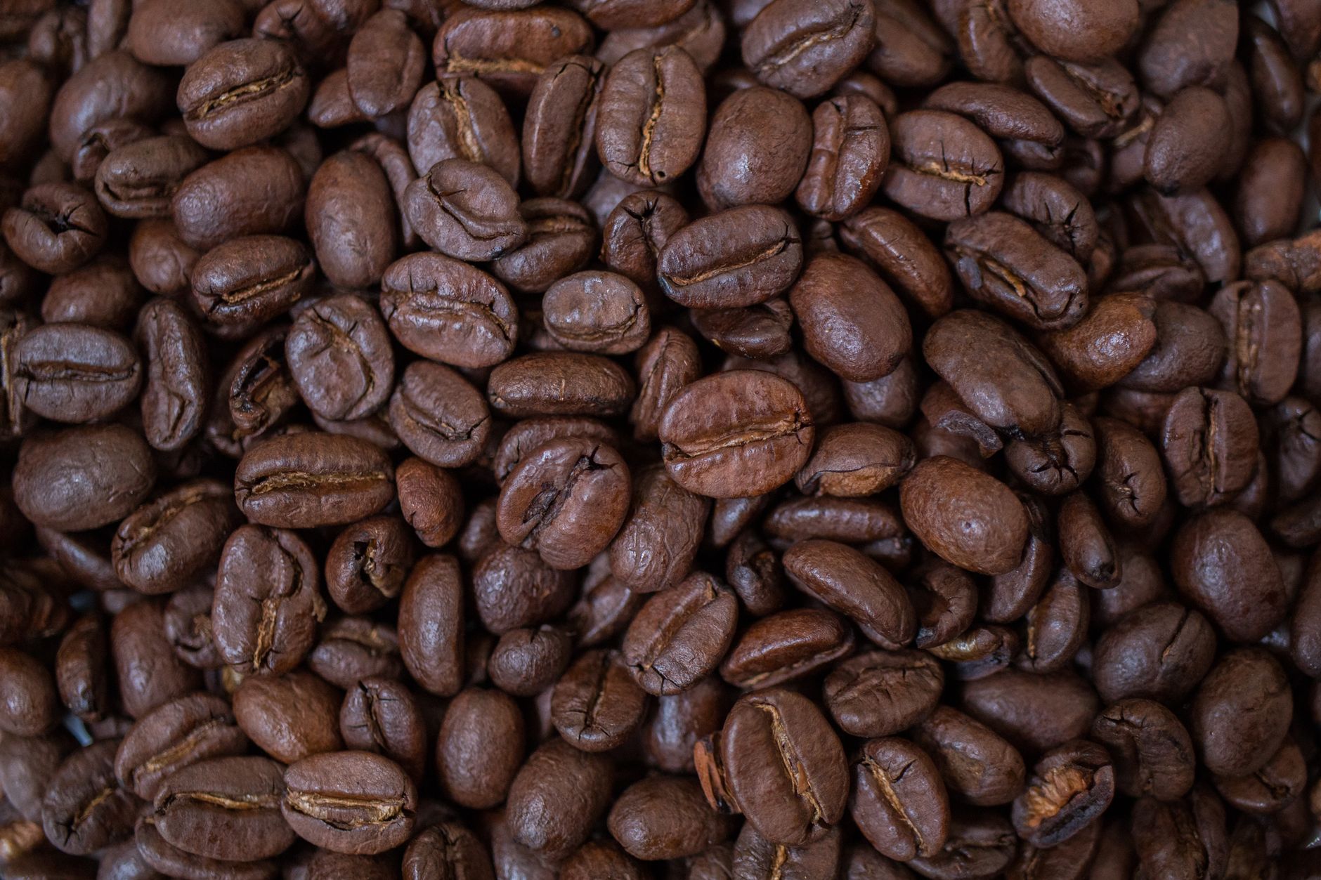 specialty espresso blend roasted beans dark cherry