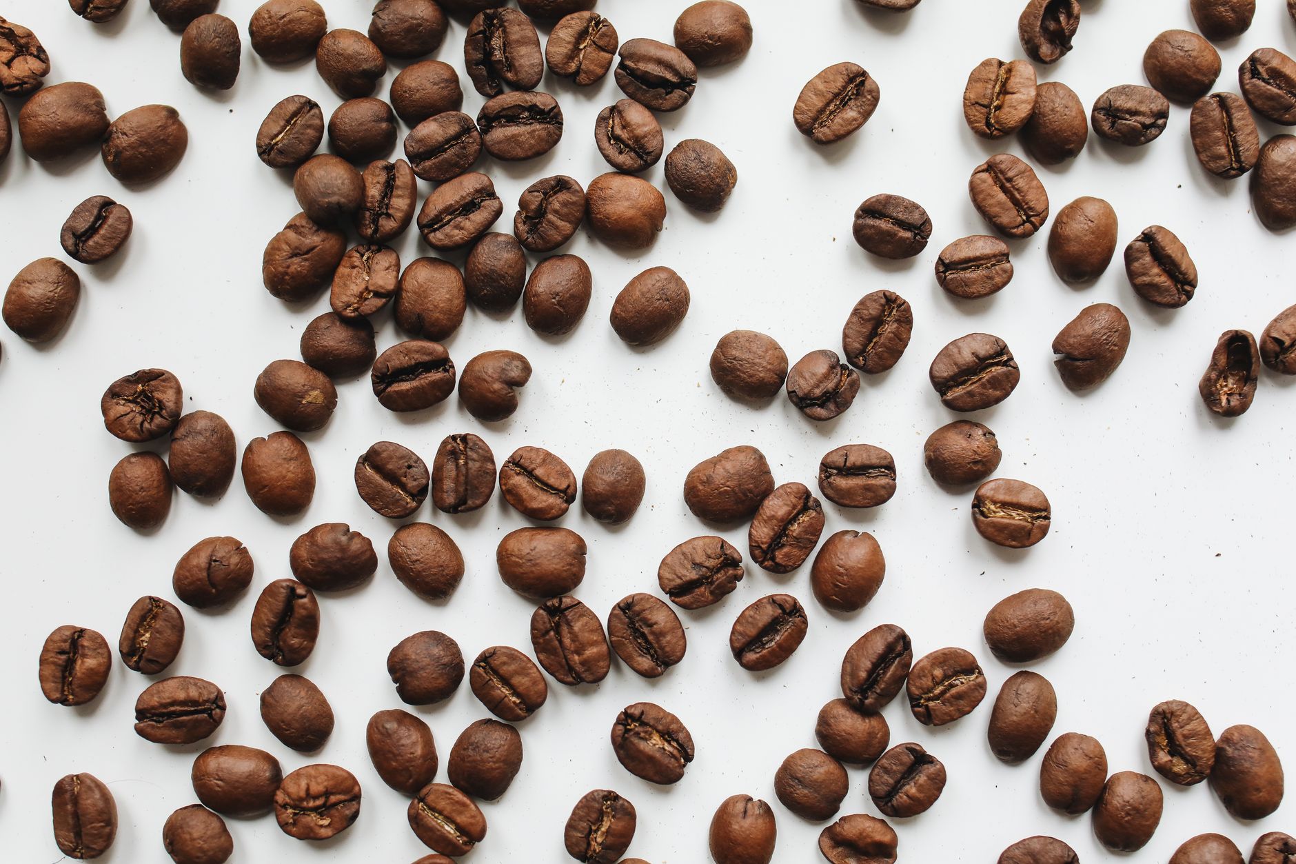 best coffee beans for espresso