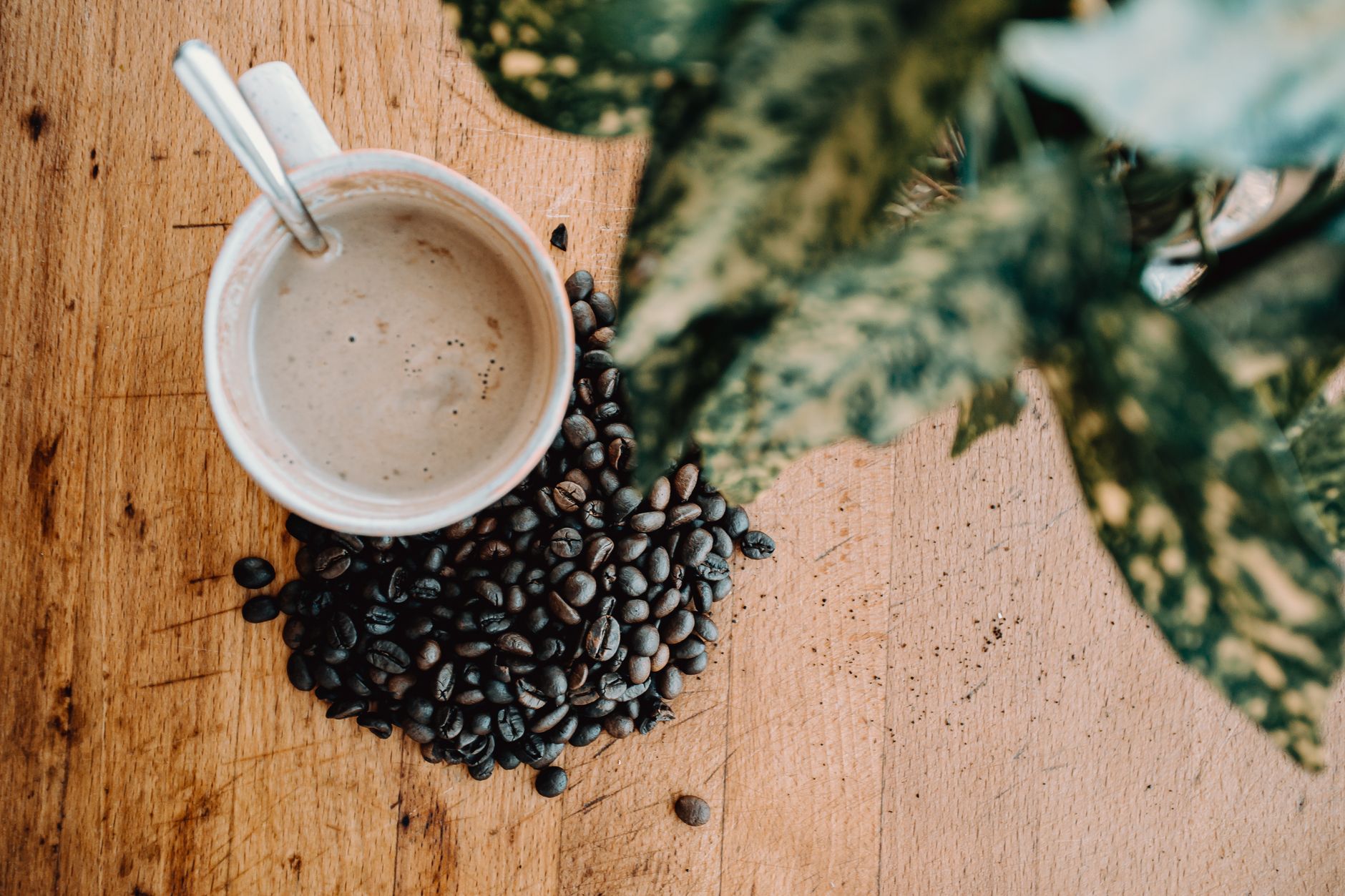 best coffee portland