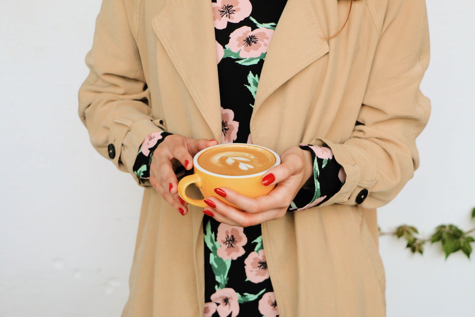 best coffee shops seattle