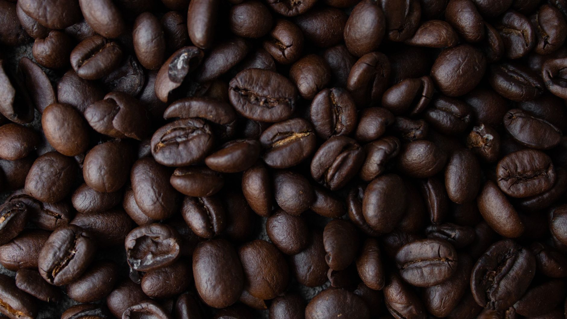 freshly roasted whole bean coffee bags on wooden surface
