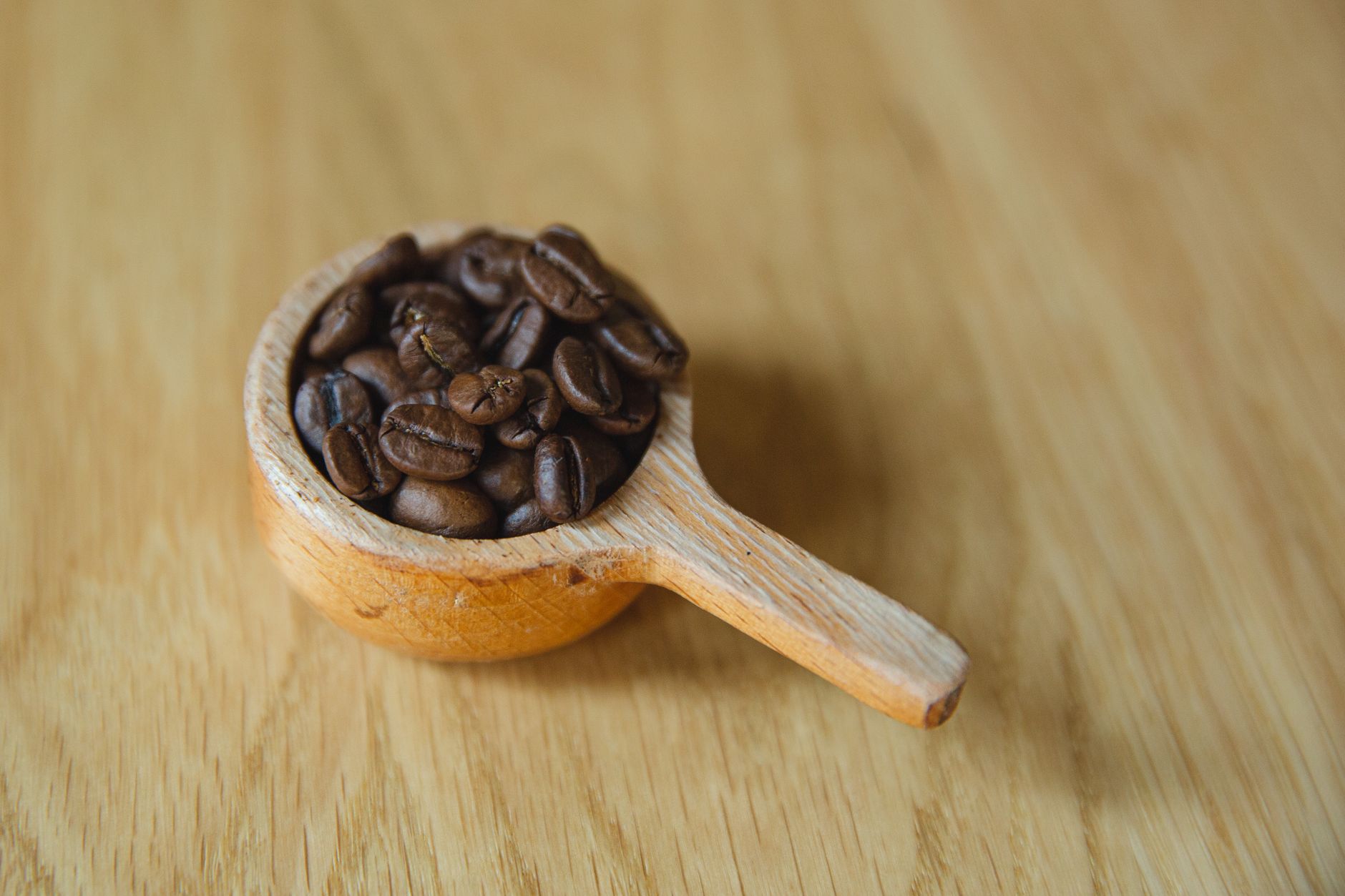 green coffee cupping table evaluation bowls spoons