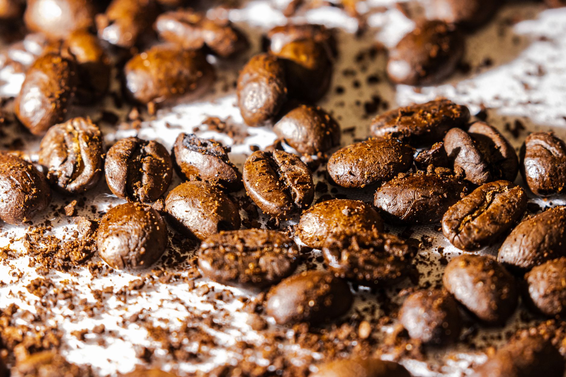 best colombian coffee beans
