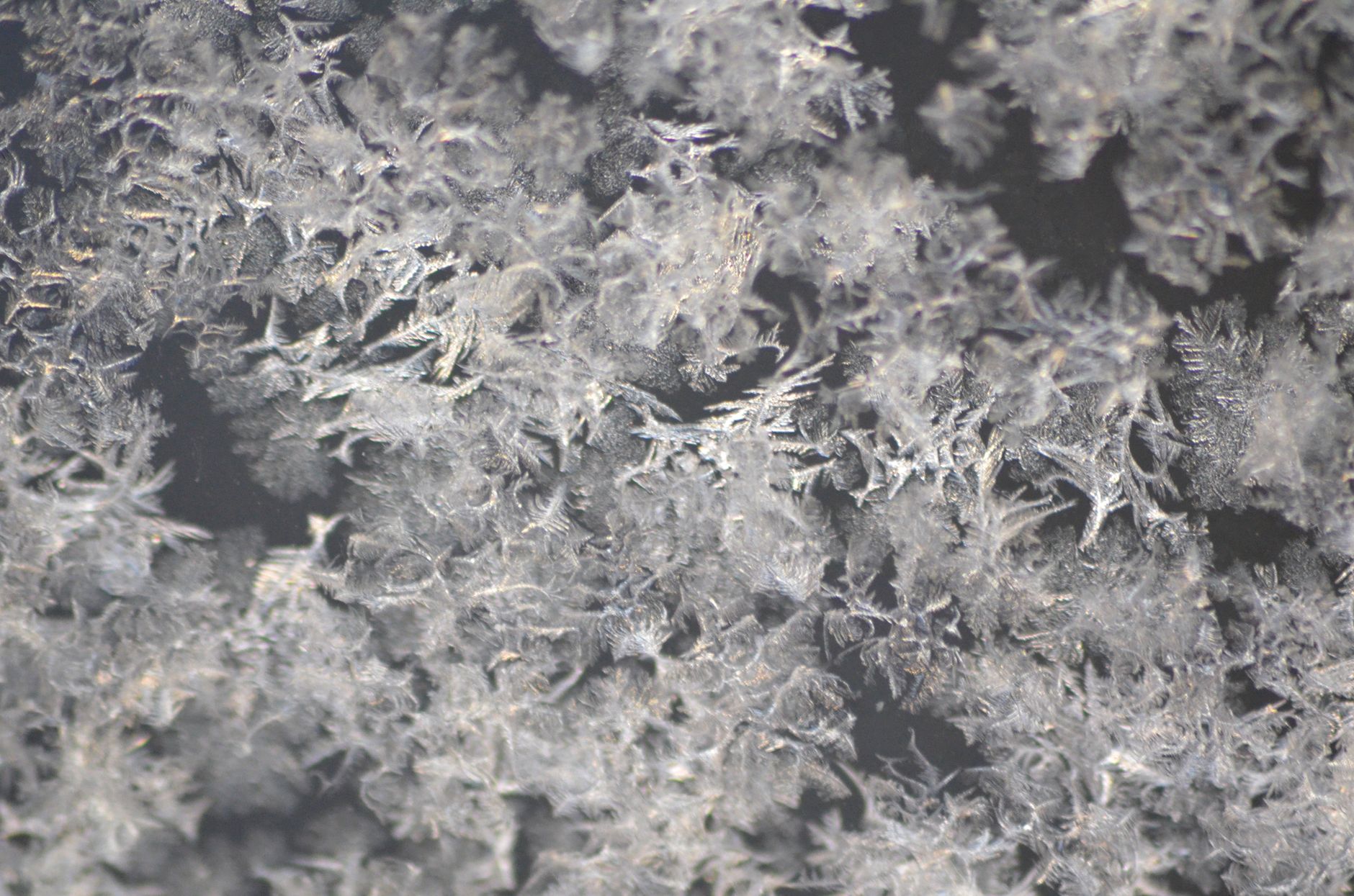 freeze-dried instant coffee crystals closeup