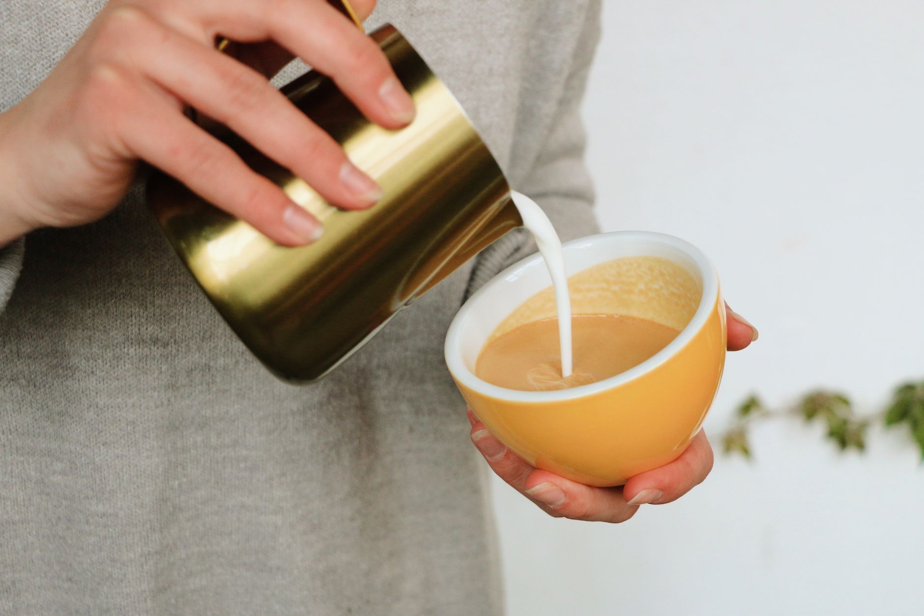 nespresso creatista pro steam wand milk microfoam latte art