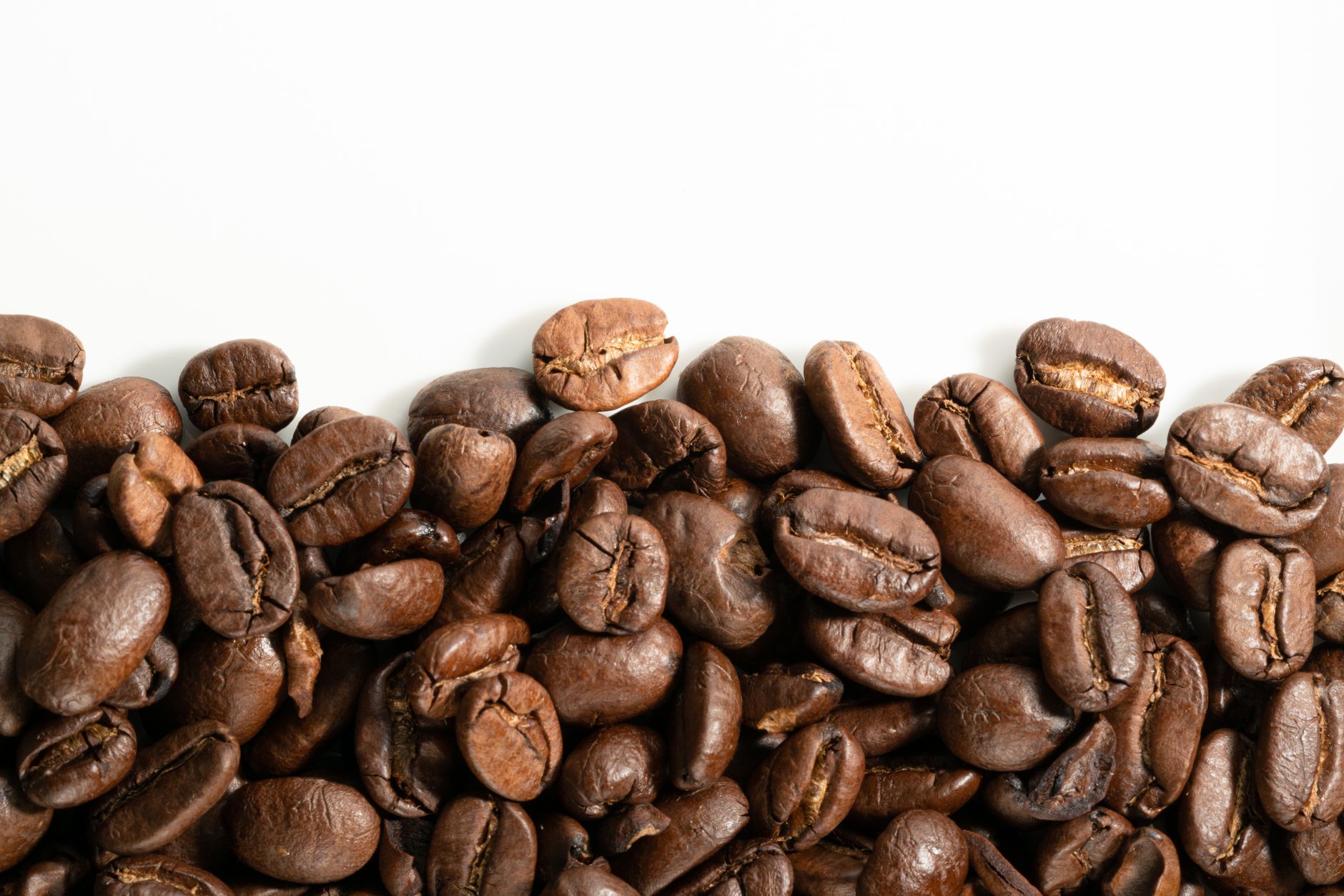 best whole bean coffee