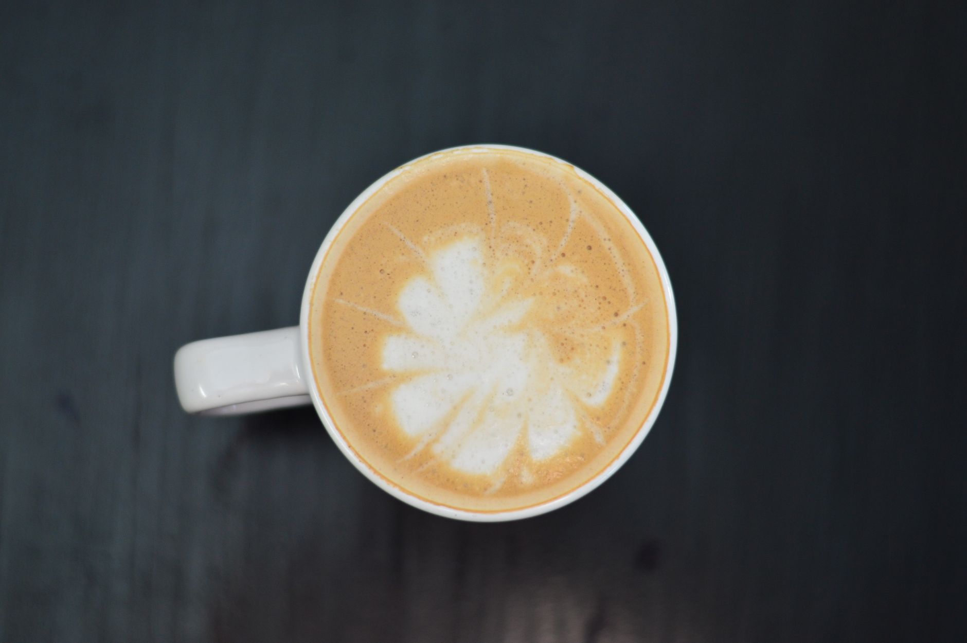 breville dual boiler review