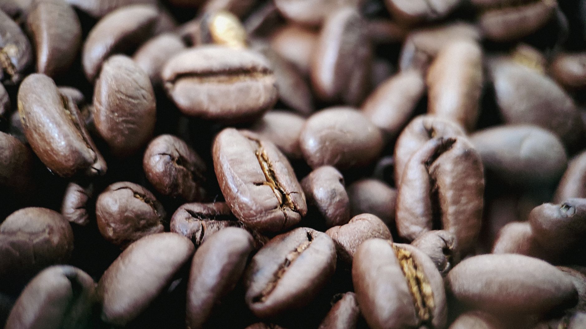 coffee roast levels light dark comparison beans