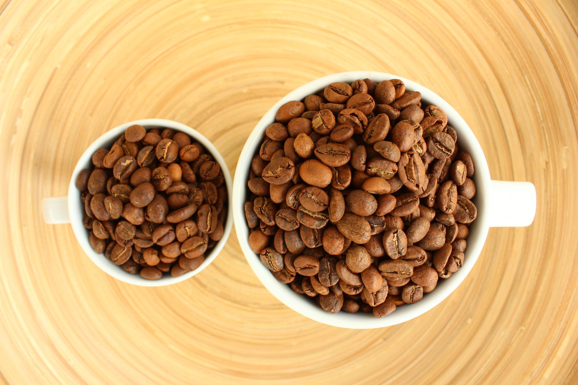 coffee grinder conical burr comparison medium coarse grind
