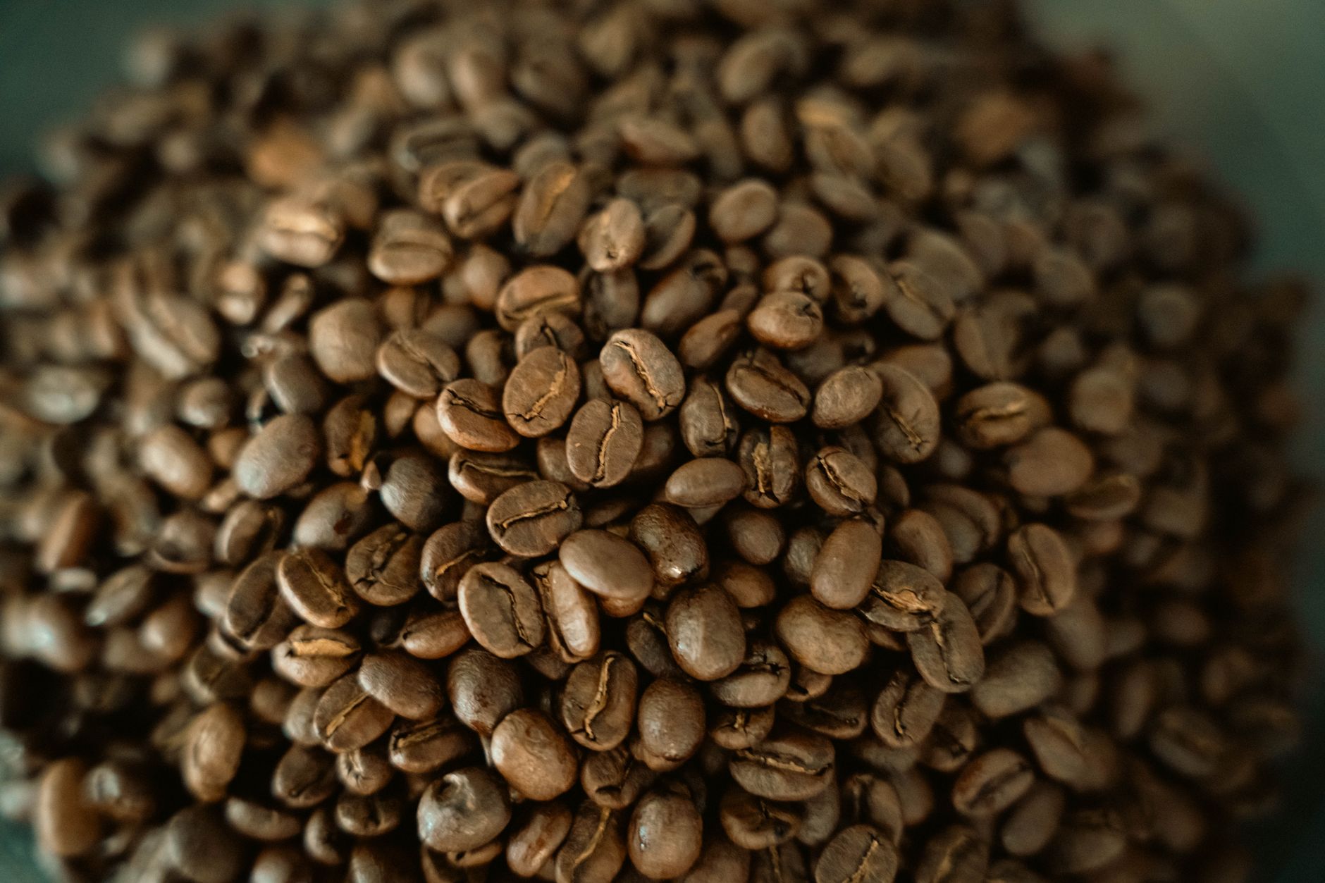 coffee bean roast levels green light medium dark comparison