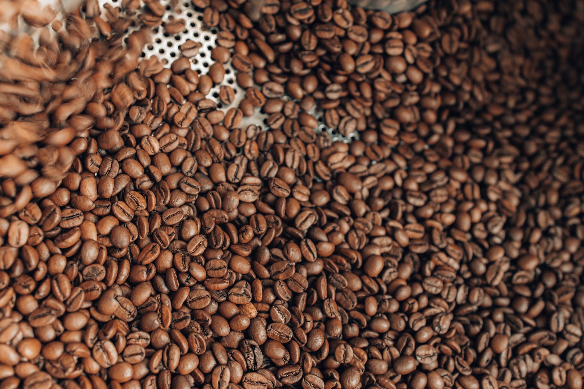 green coffee beans drying raised bed Ethiopia