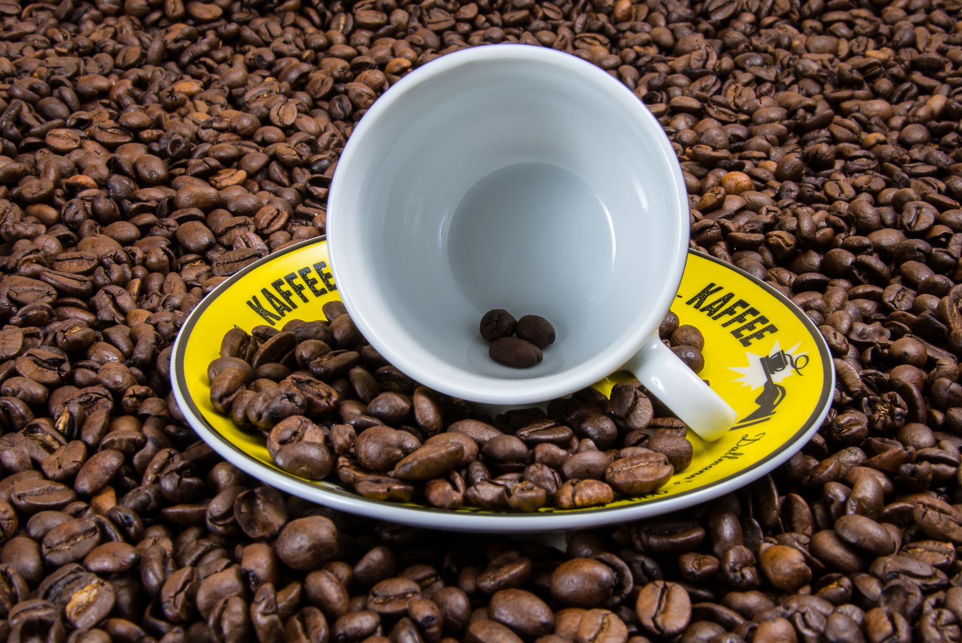 coffee roast levels light medium dark comparison beans