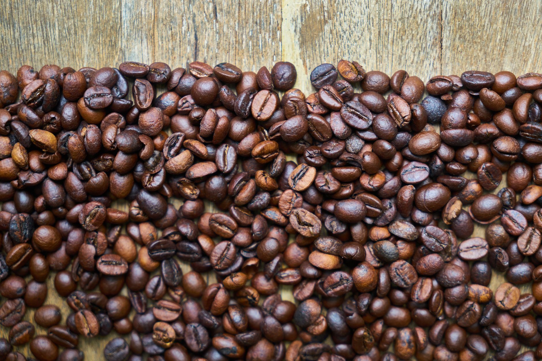 coffee bean guide