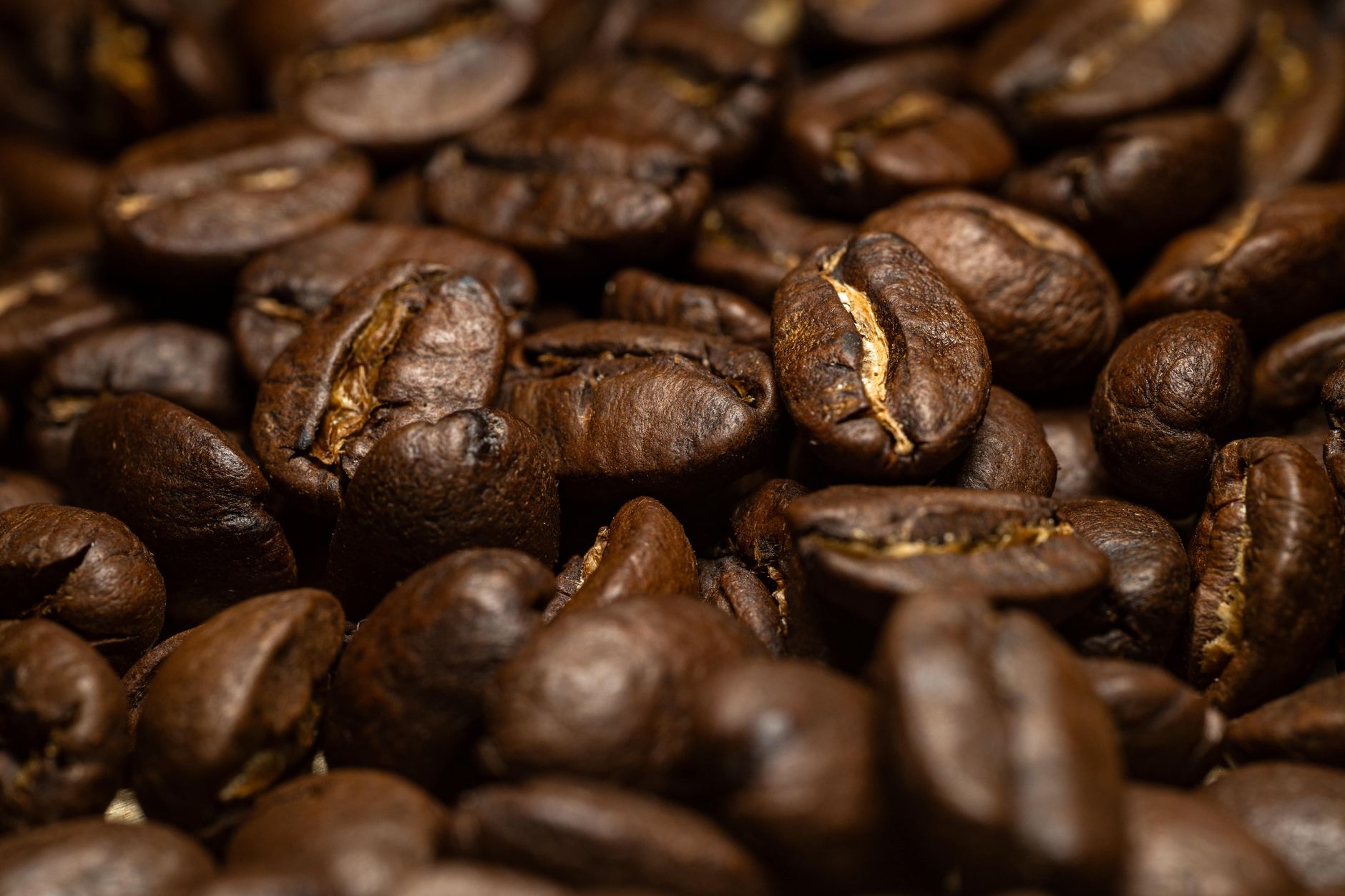 coffee grinder burr chamber ground retention buildup