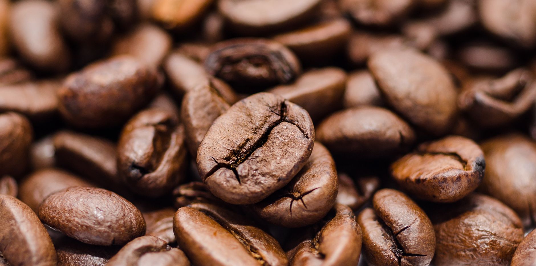 light medium dark roast coffee beans comparison row