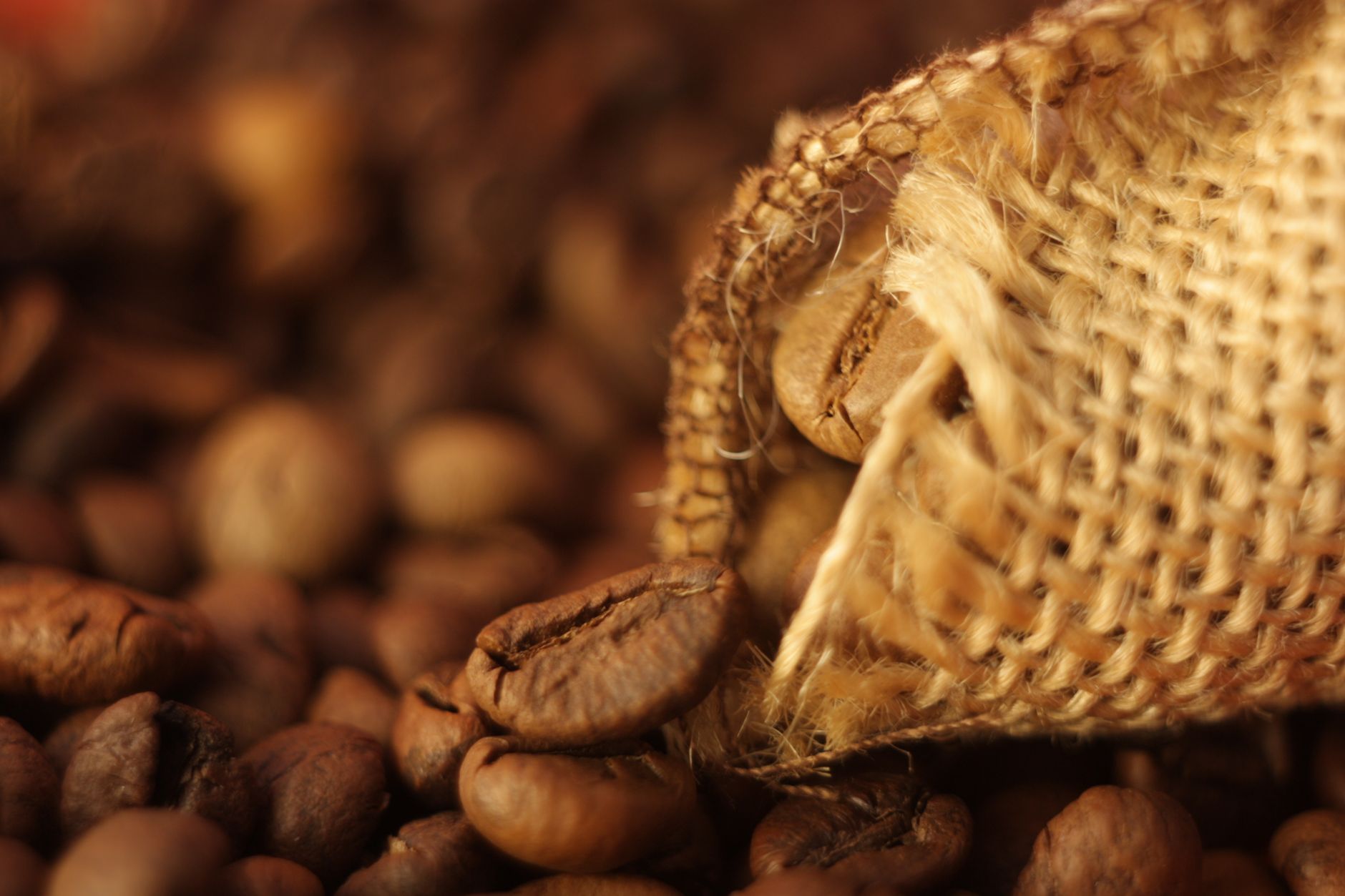 coffee valve degassing bag freshness roast date