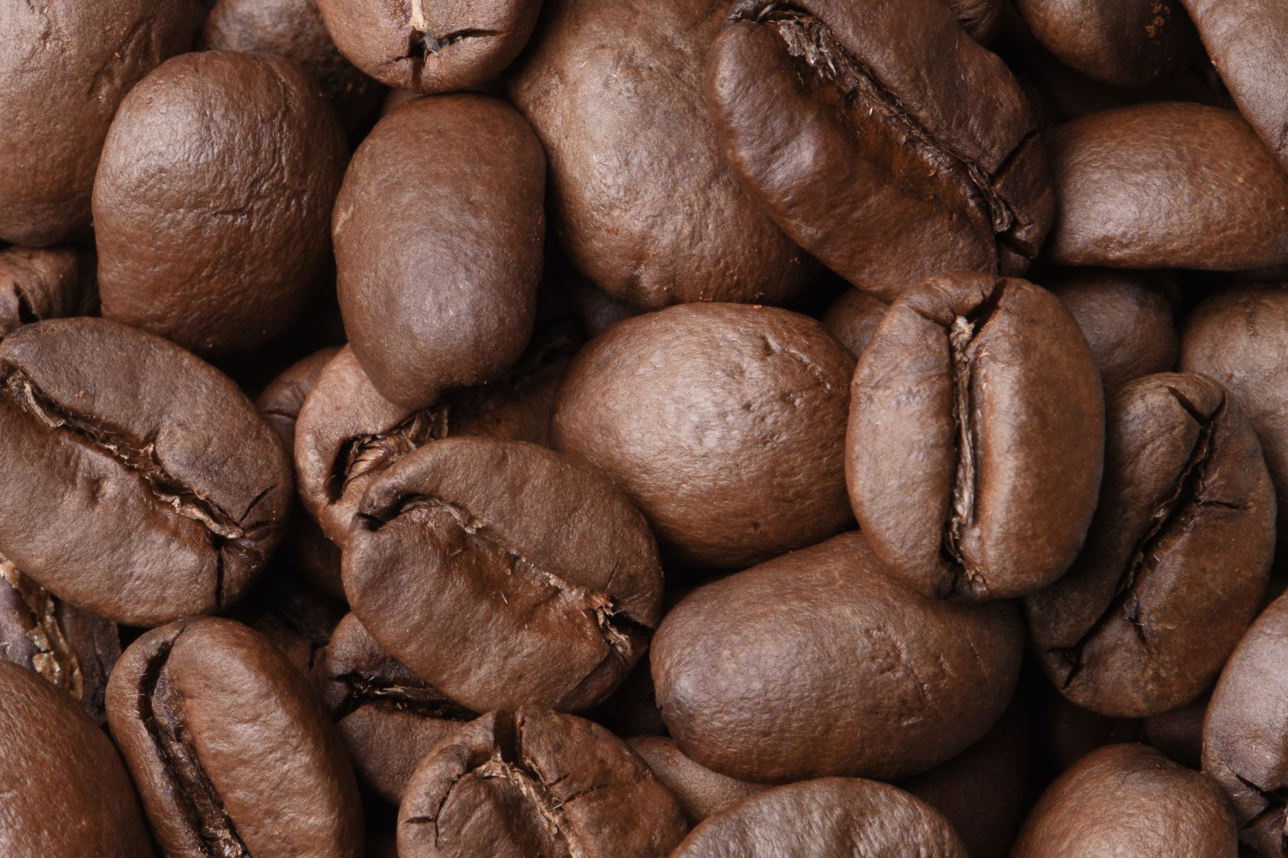 french press coffee bloom coarse grind close-up