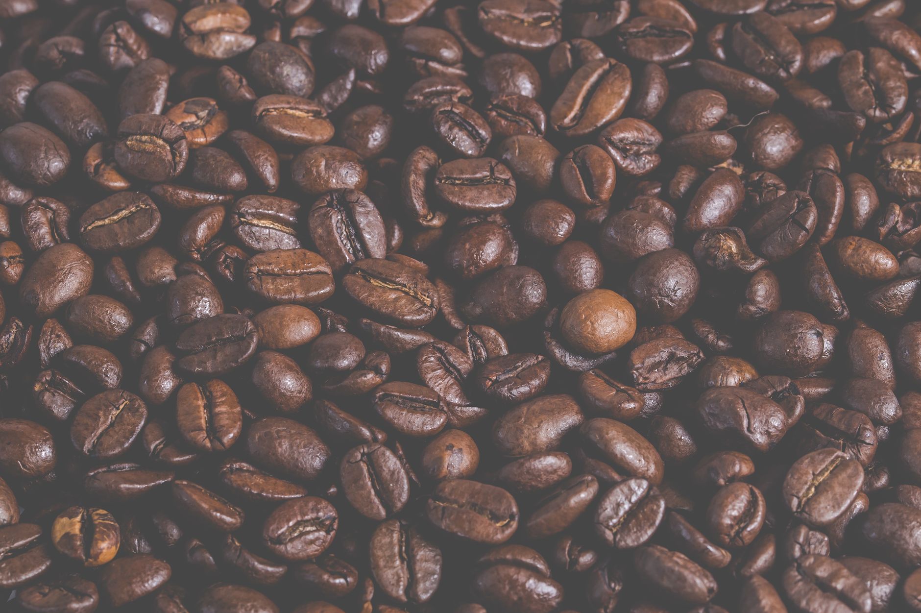 cold brew espresso martini coupe glass coffee beans