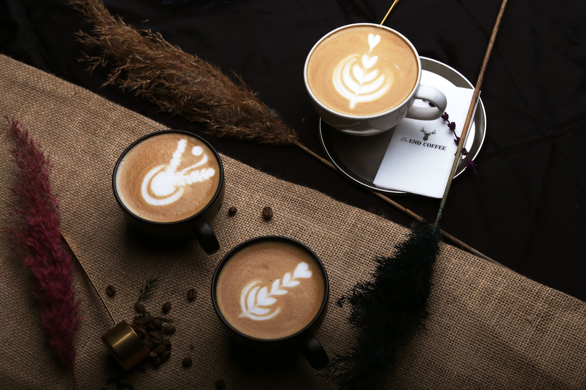 specialty coffee cafe espresso bar overhead shot
