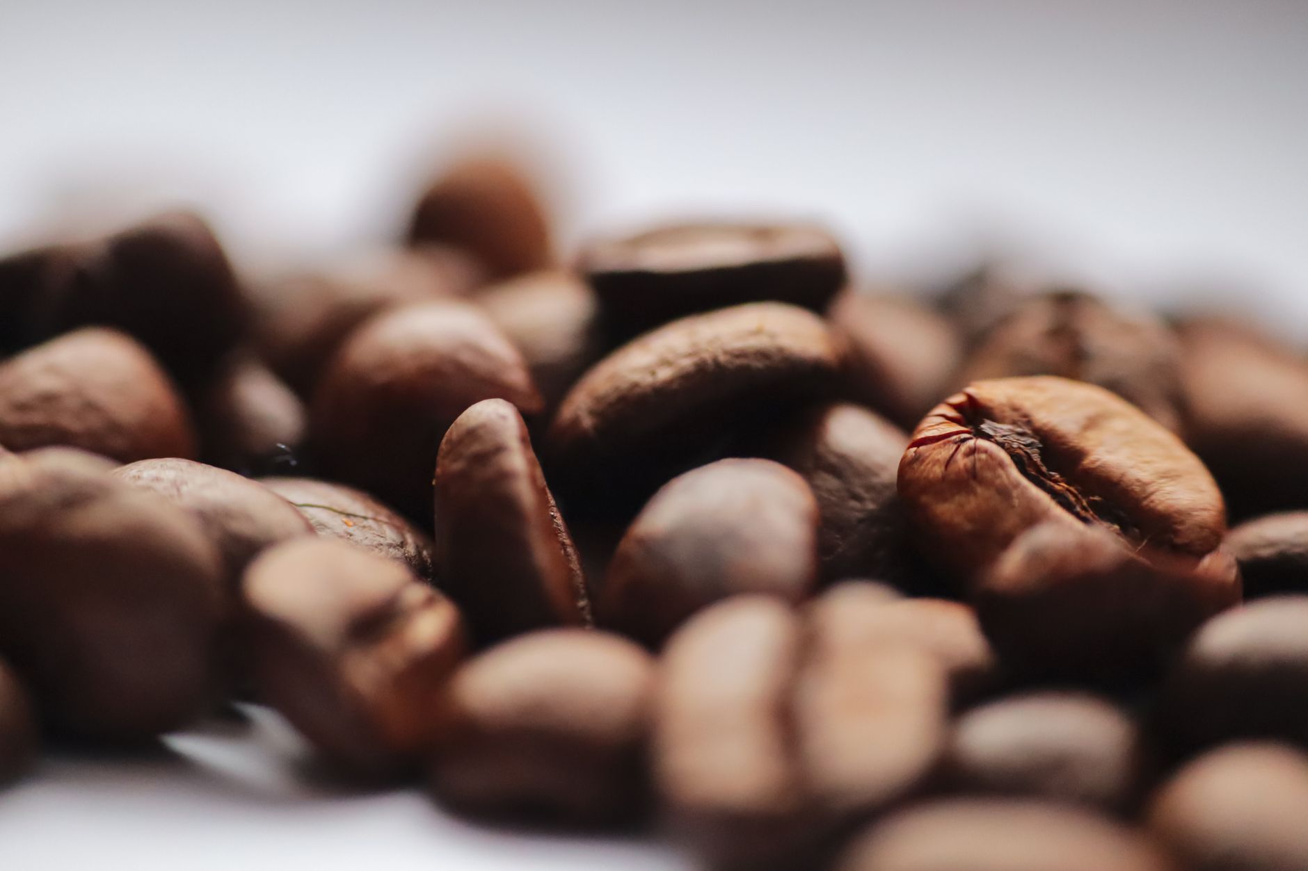 conical steel burr grinder espresso grounds close-up