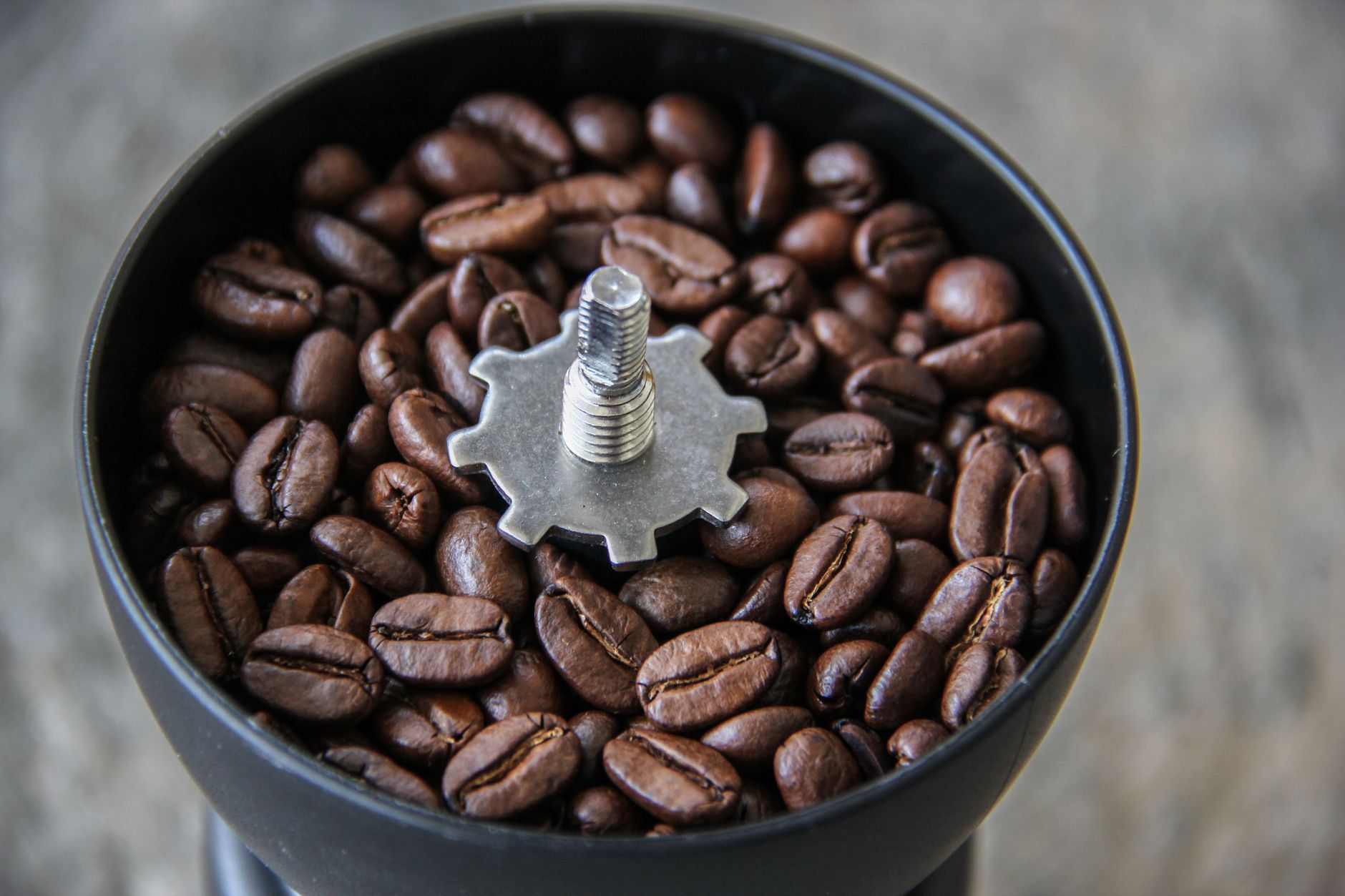 espresso grinder conical burr steel close-up grinding