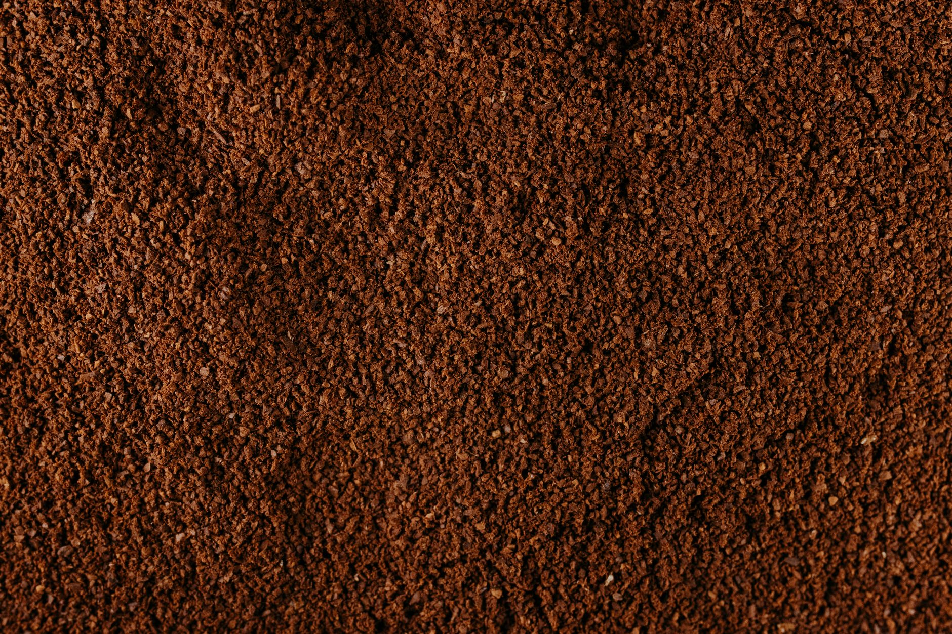 espresso portafilter double basket coffee grounds tamped