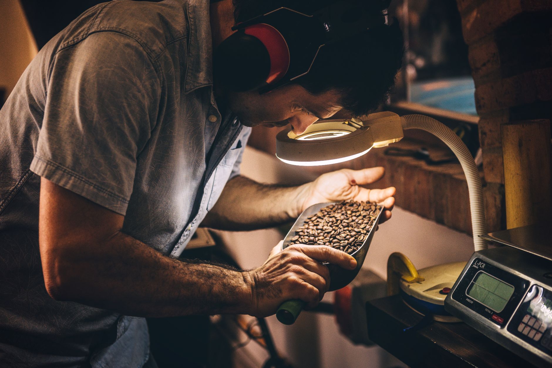 drum roaster vs fluid bed roaster