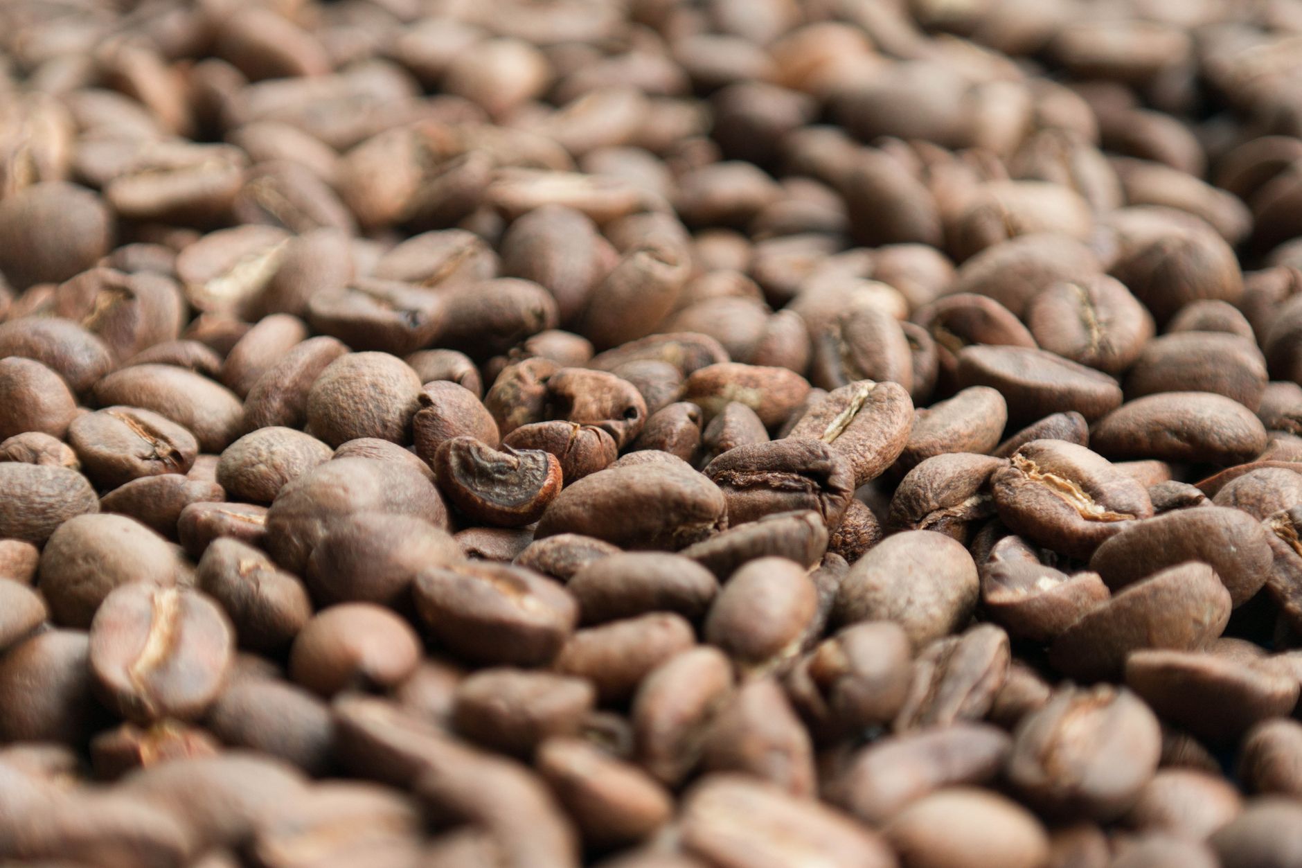 coffee grinder coarse grind setting medium roast beans