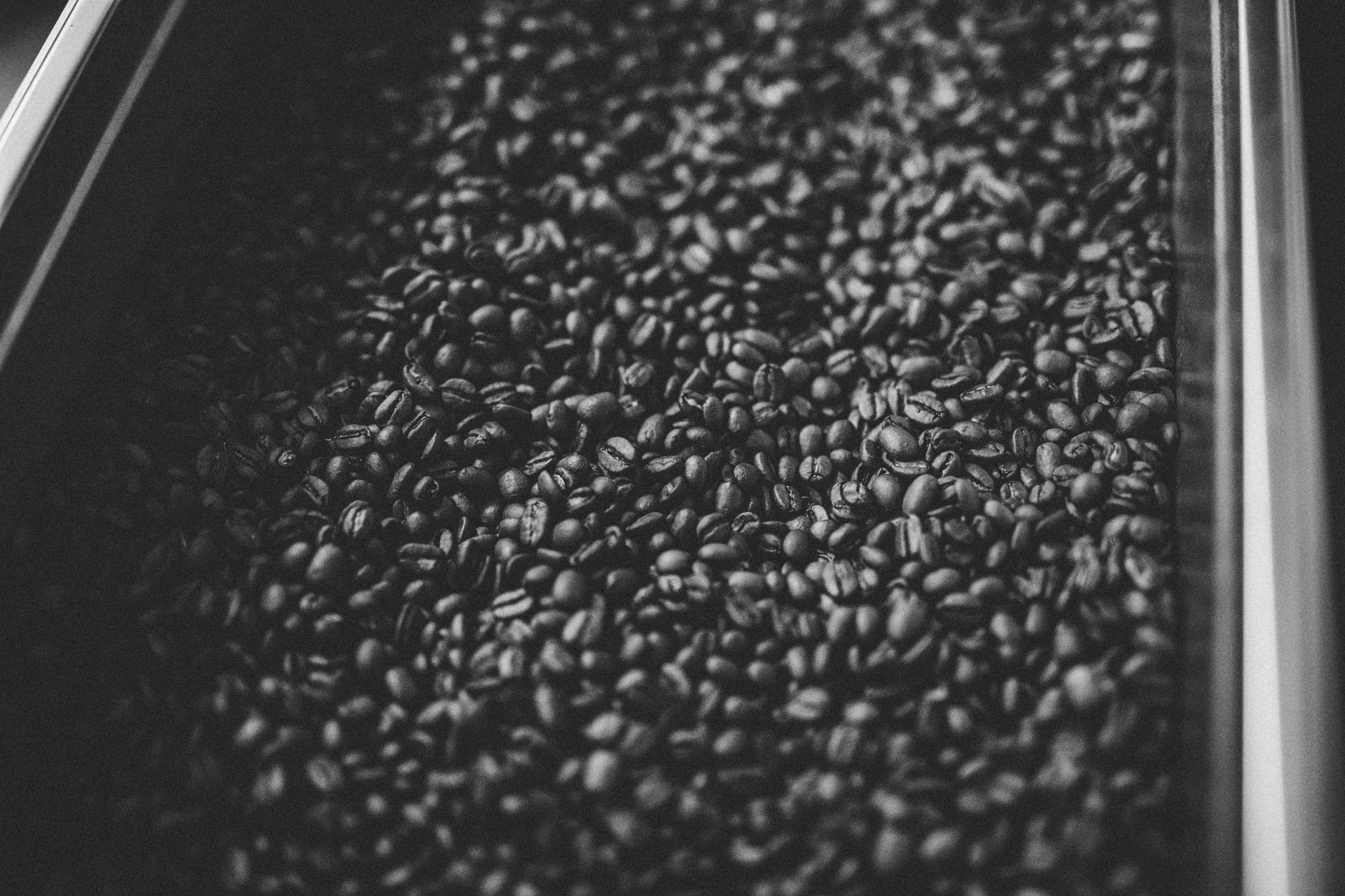 fresh roast sr800 review