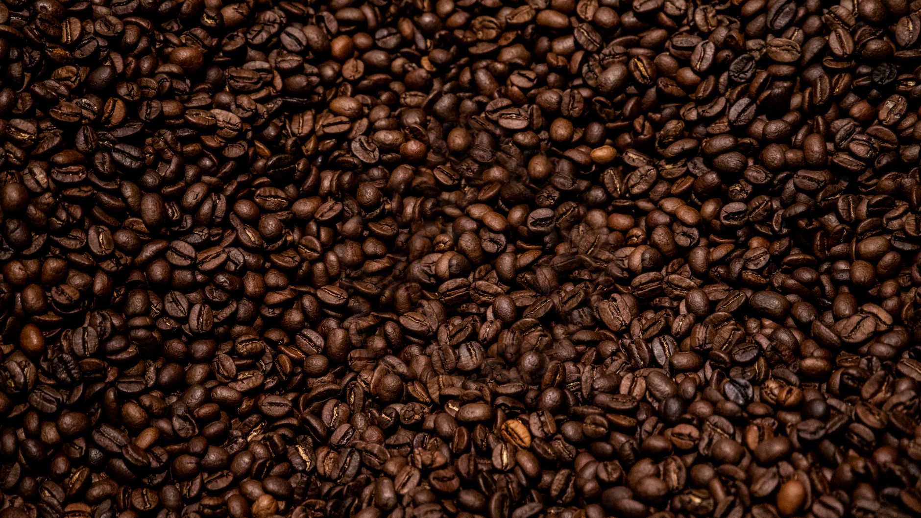 green coffee bean close-up moisture density sorting