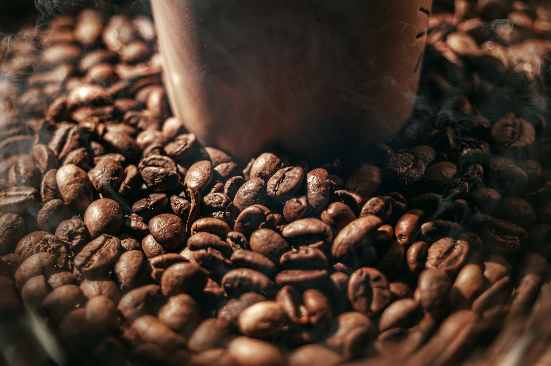 coffee grinder burr steel flat close-up