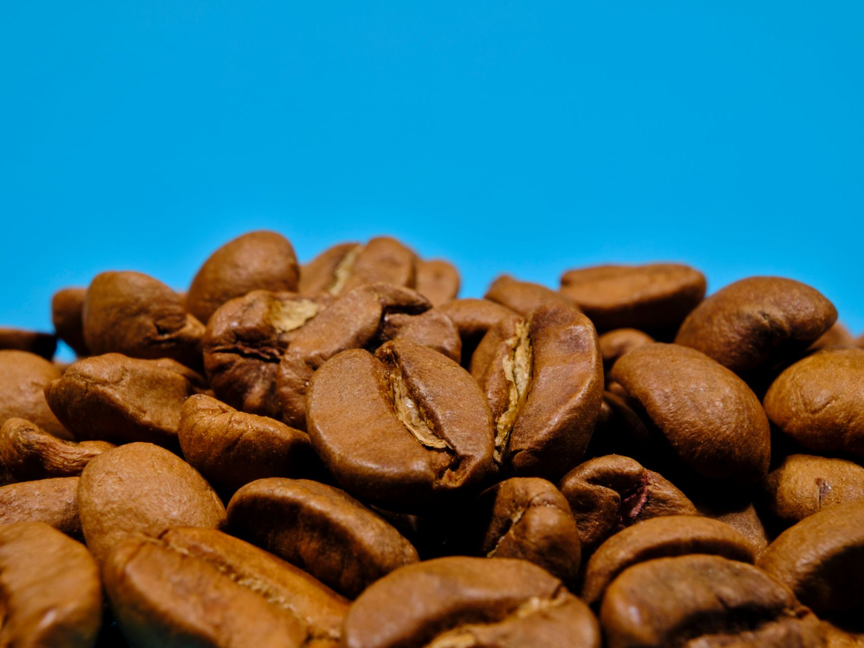 light roast vs dark roast espresso beans comparison