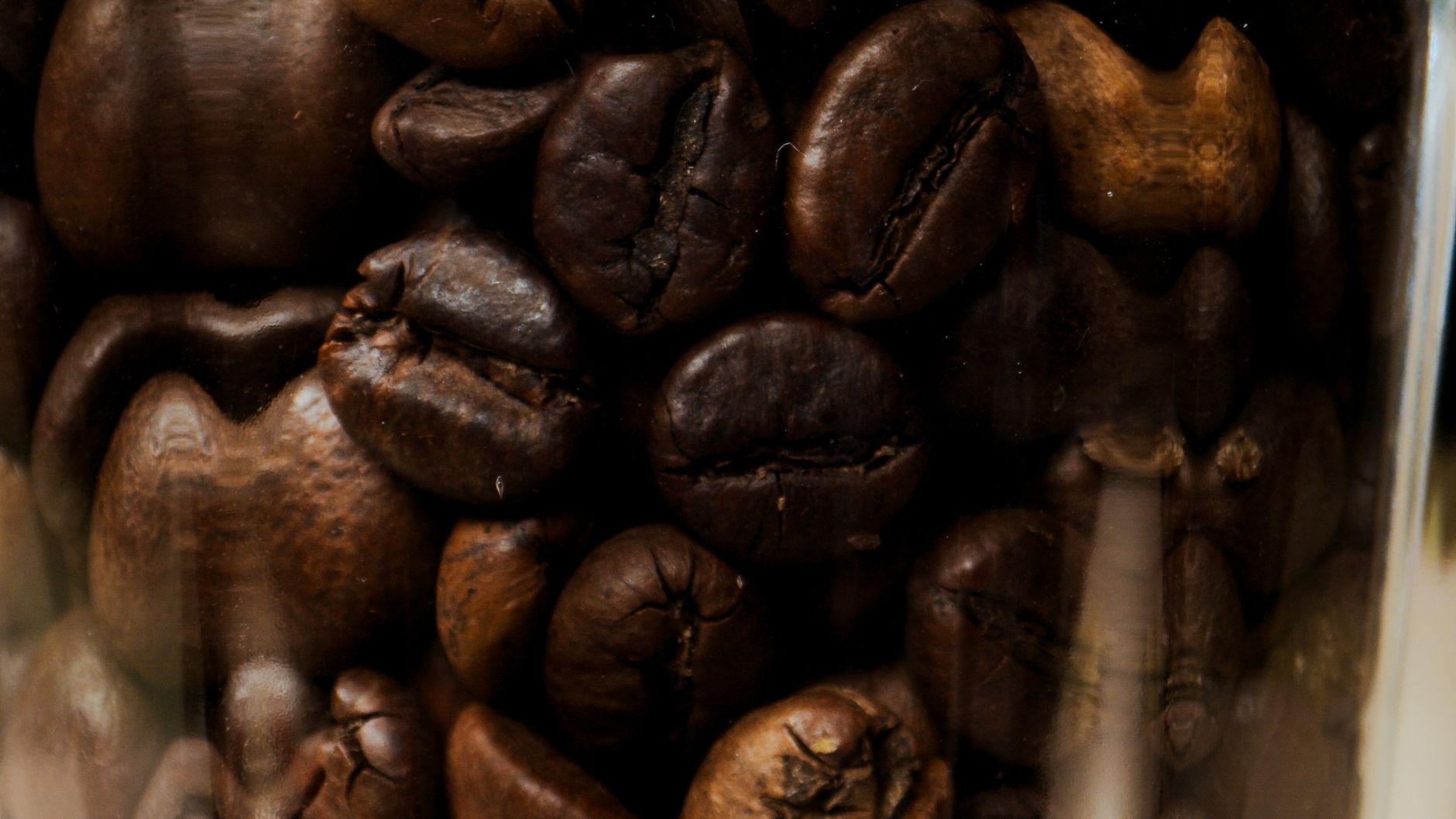 french press coarse ground coffee texture comparison