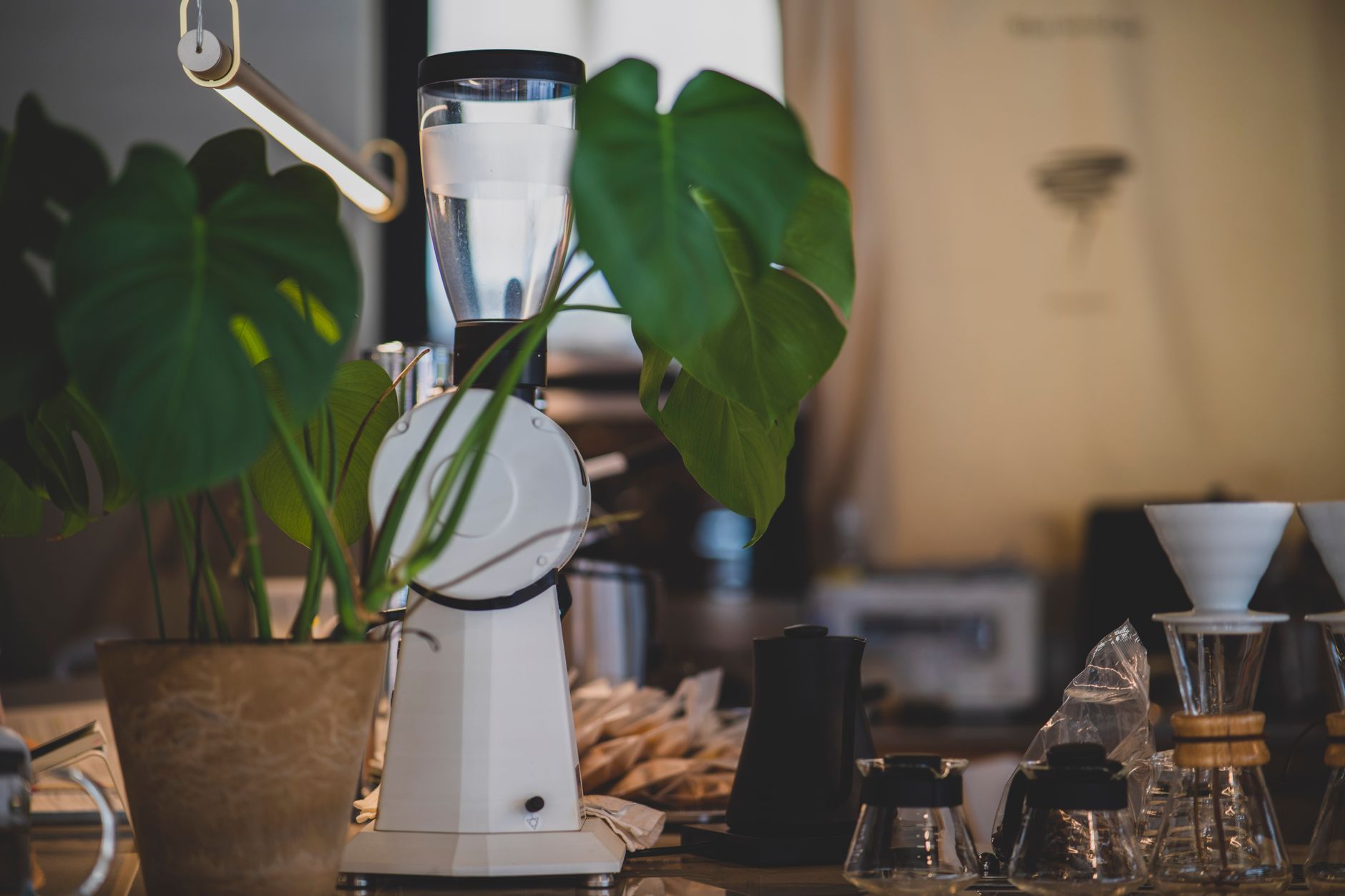 coffee grinder dial coarse setting adjustment