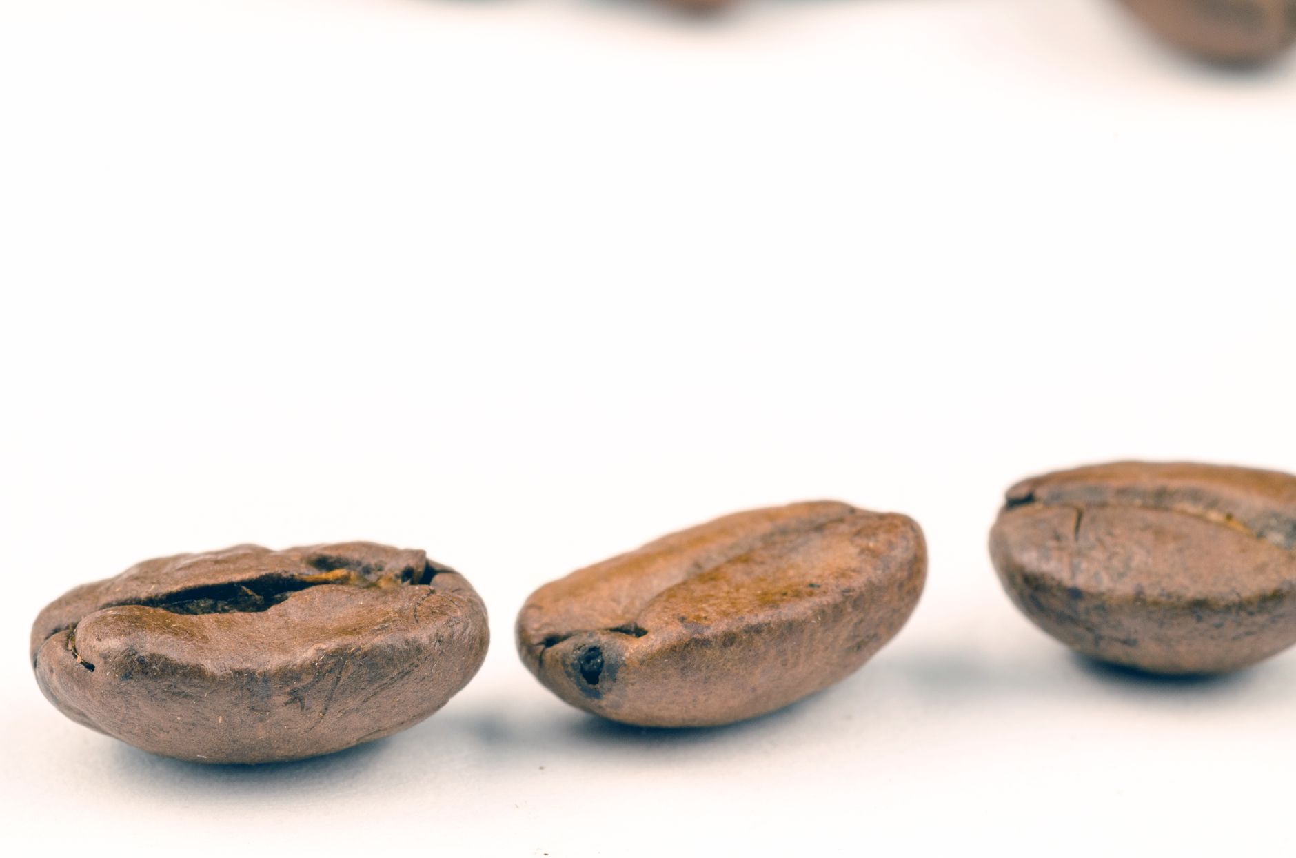 variety of green coffee beans sorted by origin country