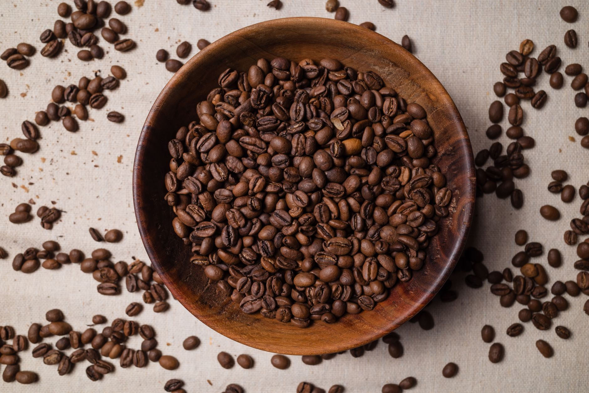 light vs dark roast coffee beans side by side comparison