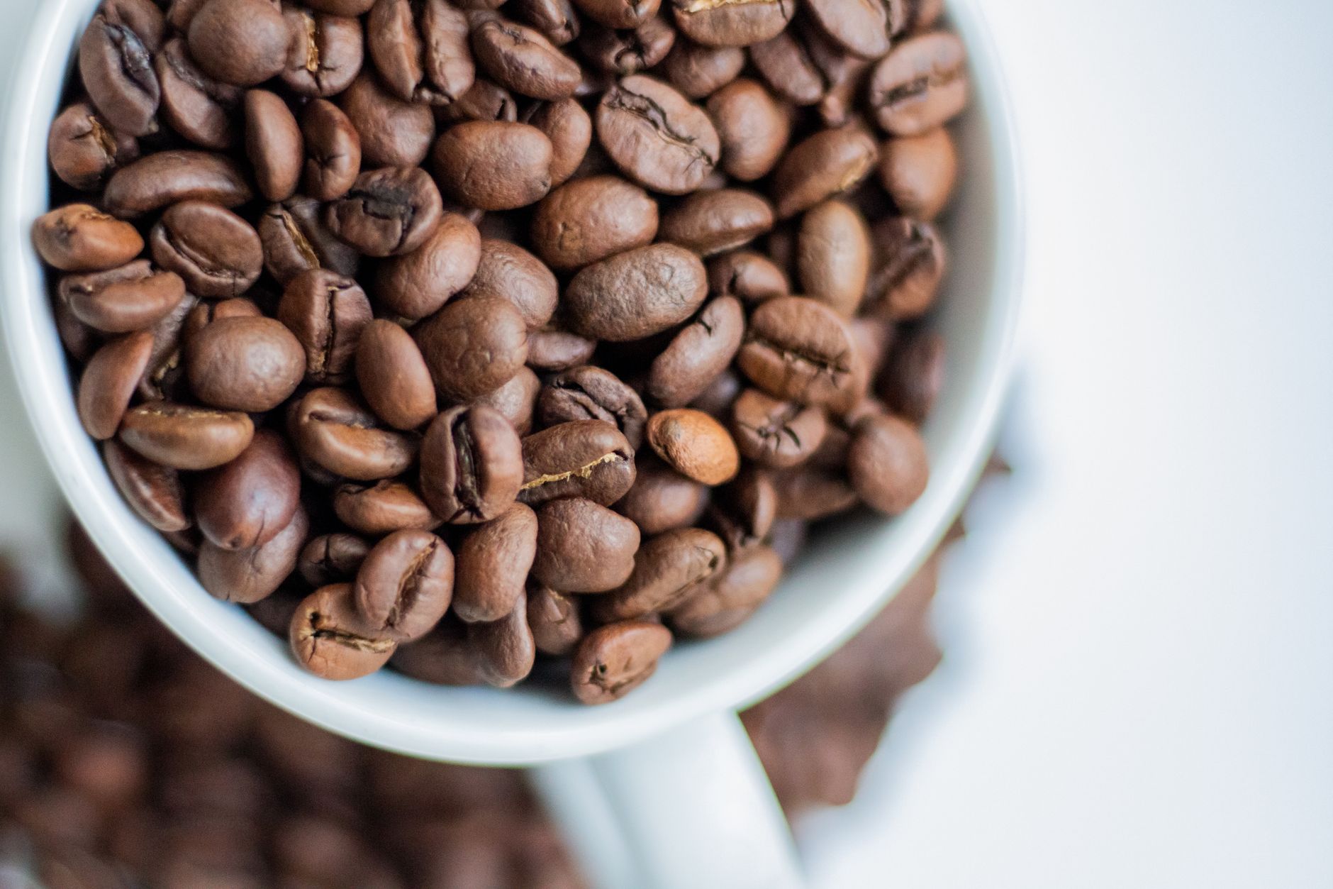 arabica robusta green coffee beans comparison close-up