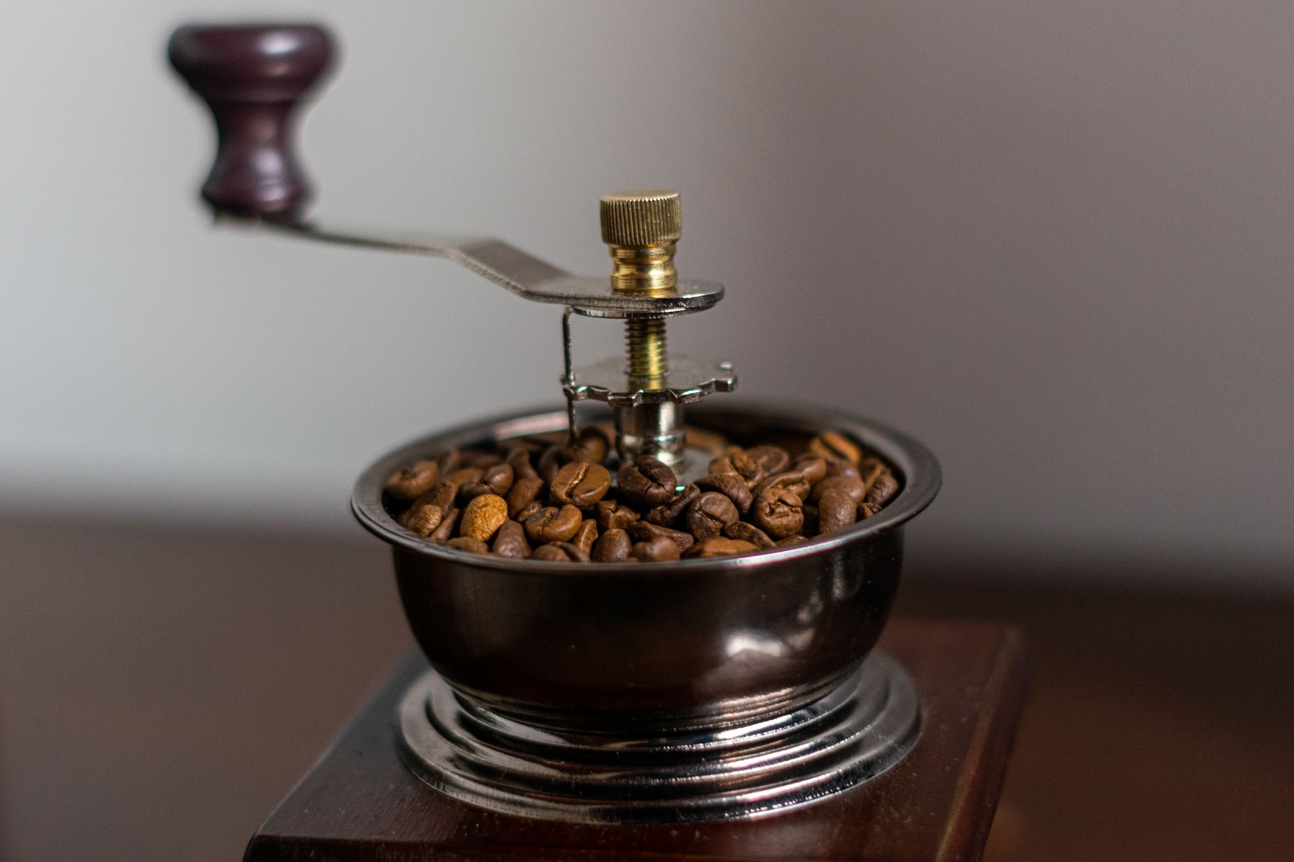 coffee grinder burr chamber stale oil buildup