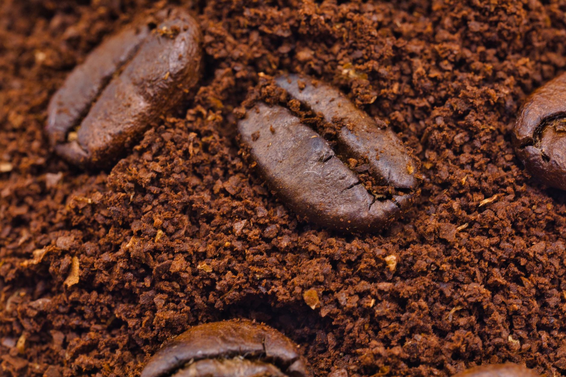 coffee beans degassing freshly roasted bag valve
