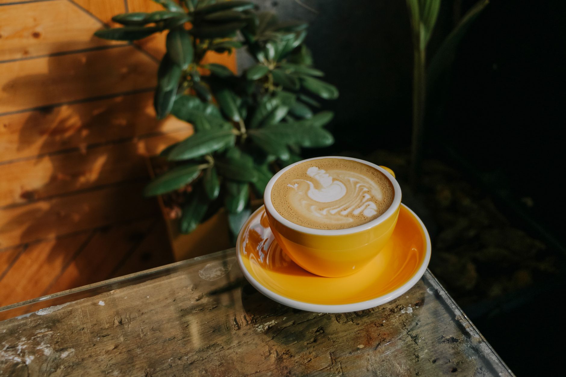 barista pouring tulip latte art pattern into flat white