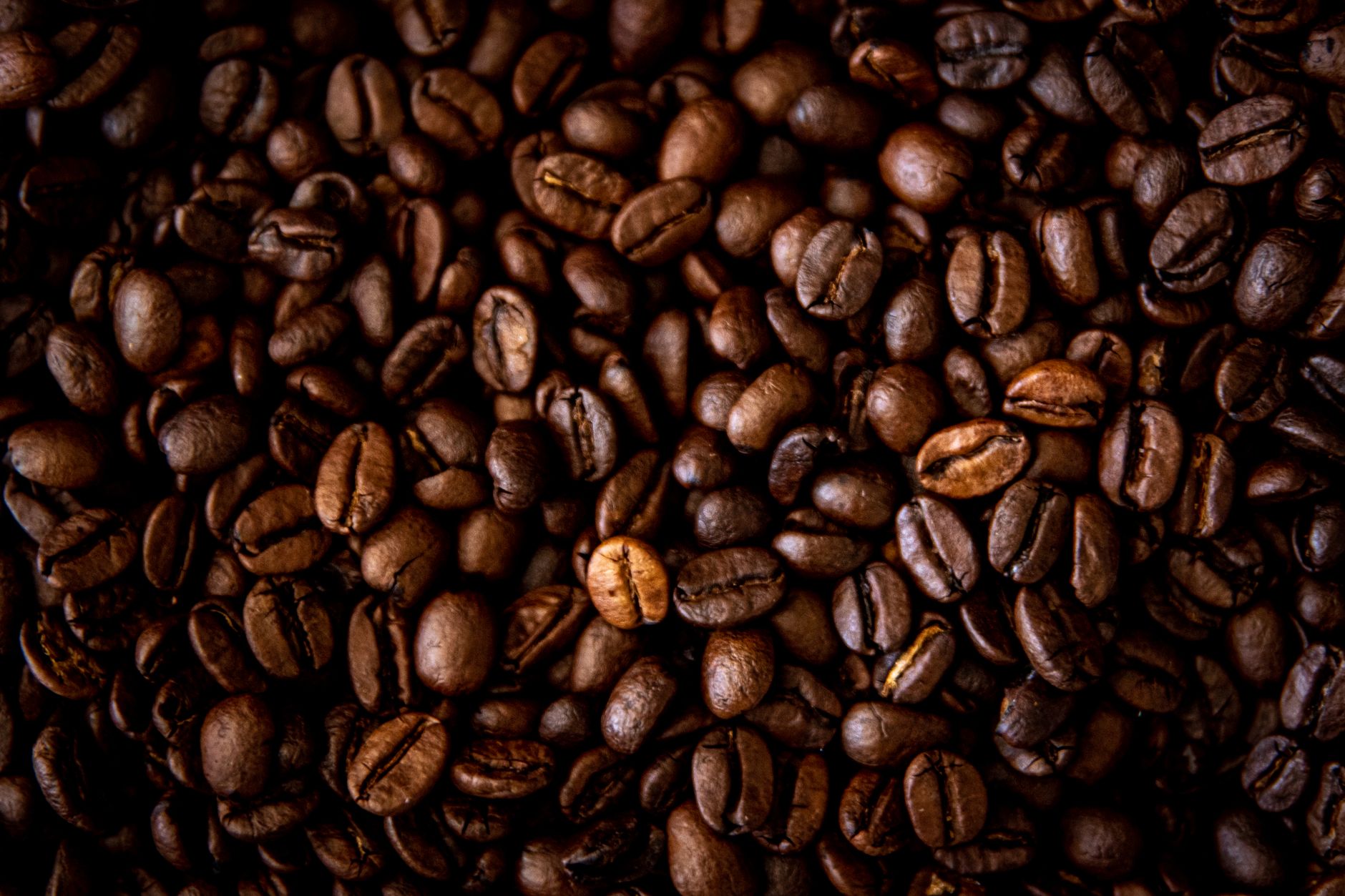 how to store coffee beans
