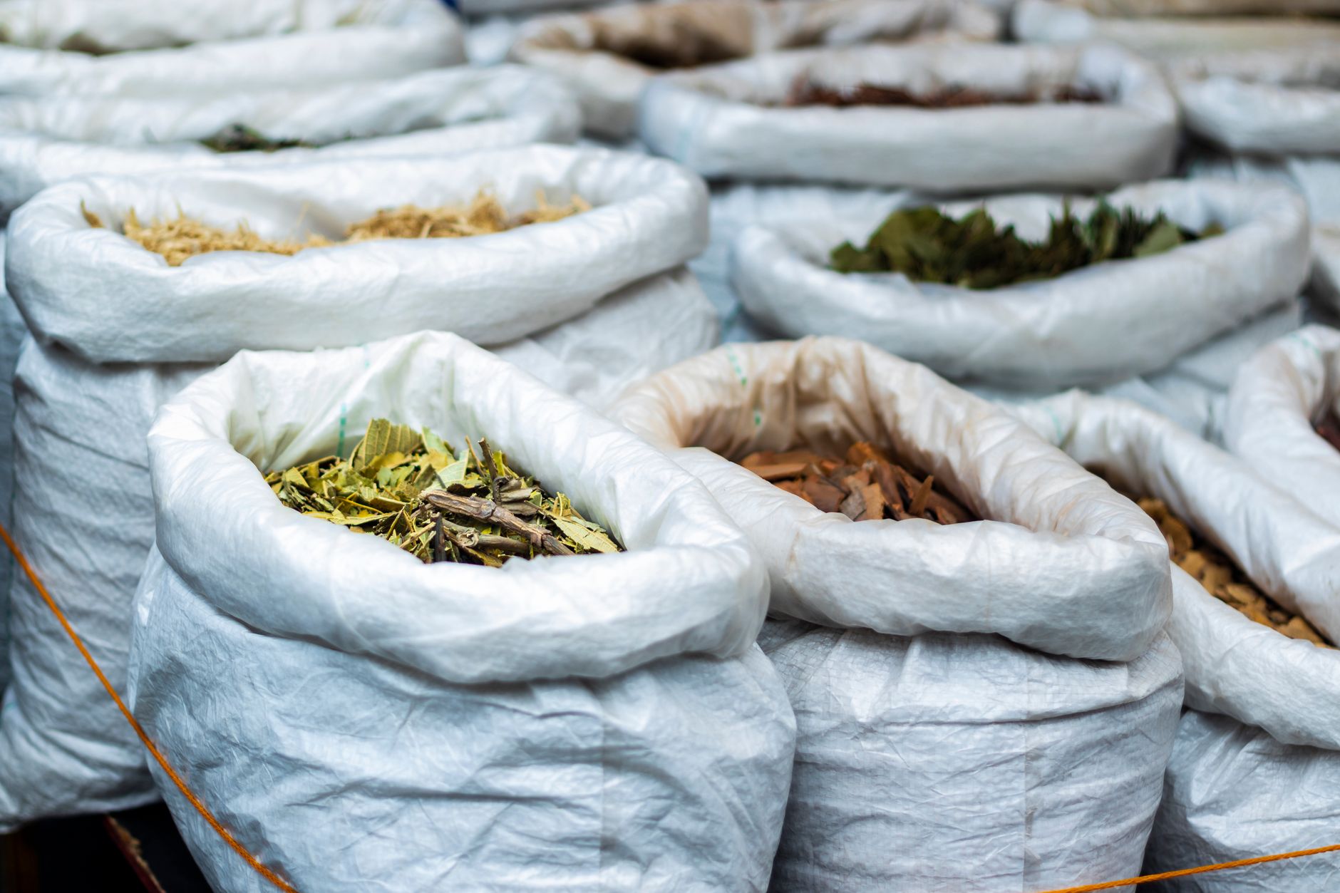 green coffee beans burlap sack open warehouse